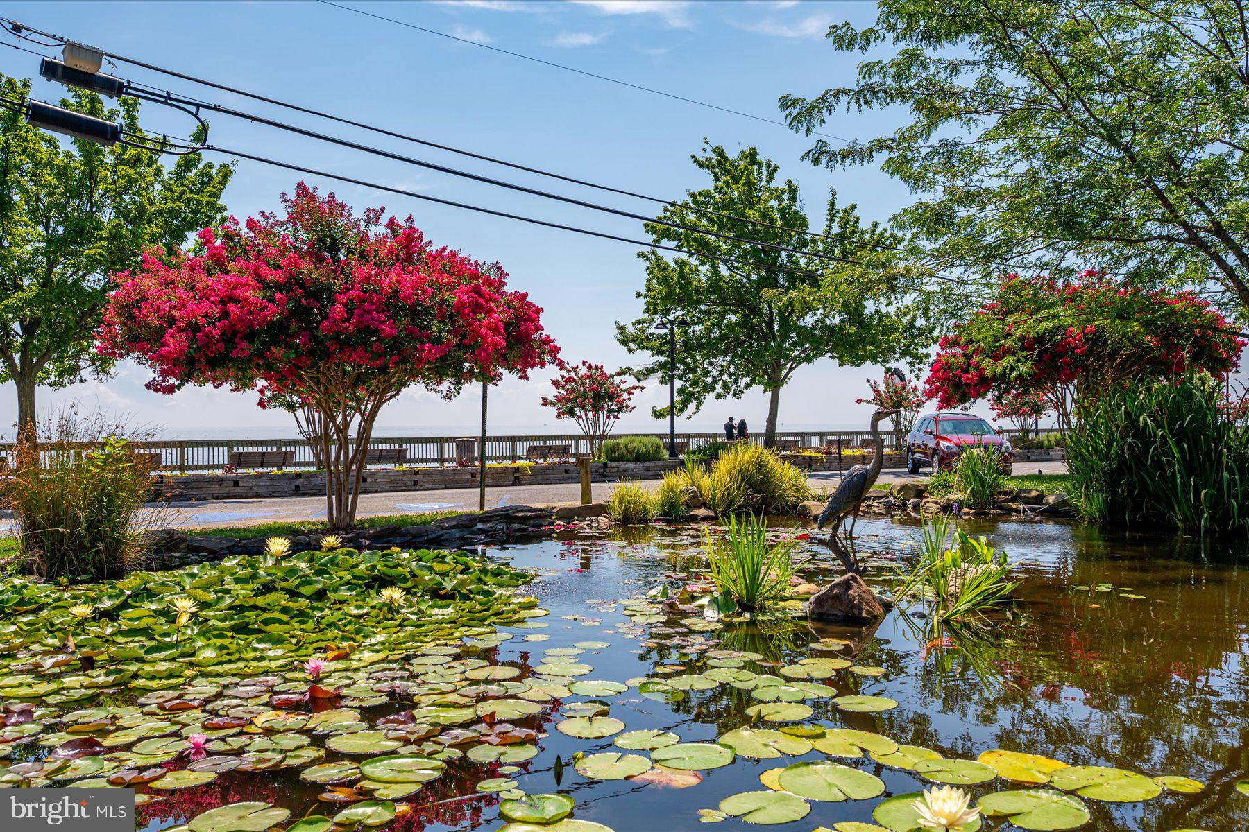 NORTH CHESAPEAKE BEACH - Residential