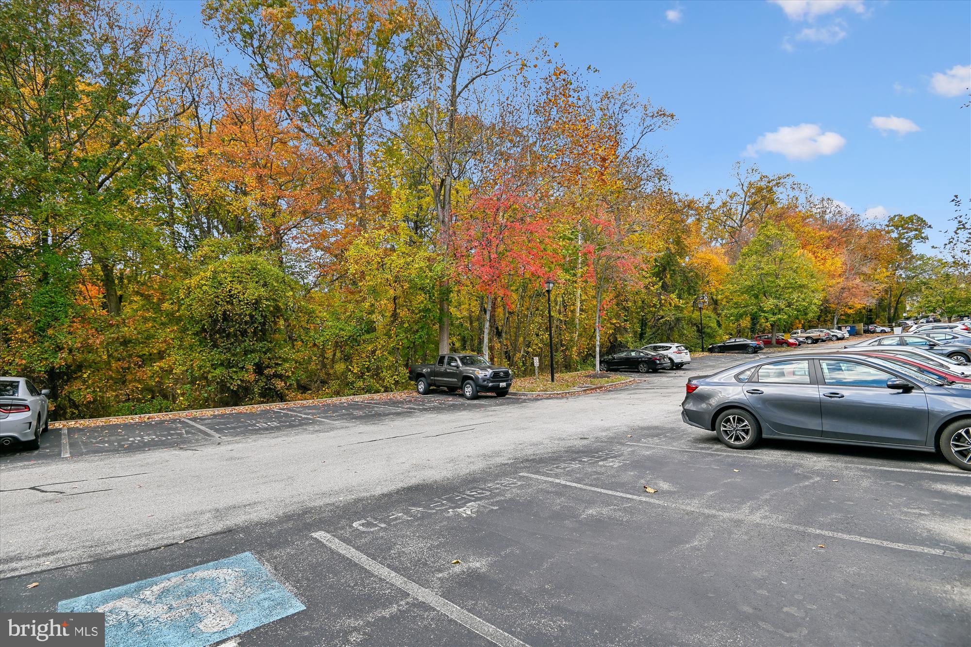 ELKRIDGE TOWN CENTER - Residential