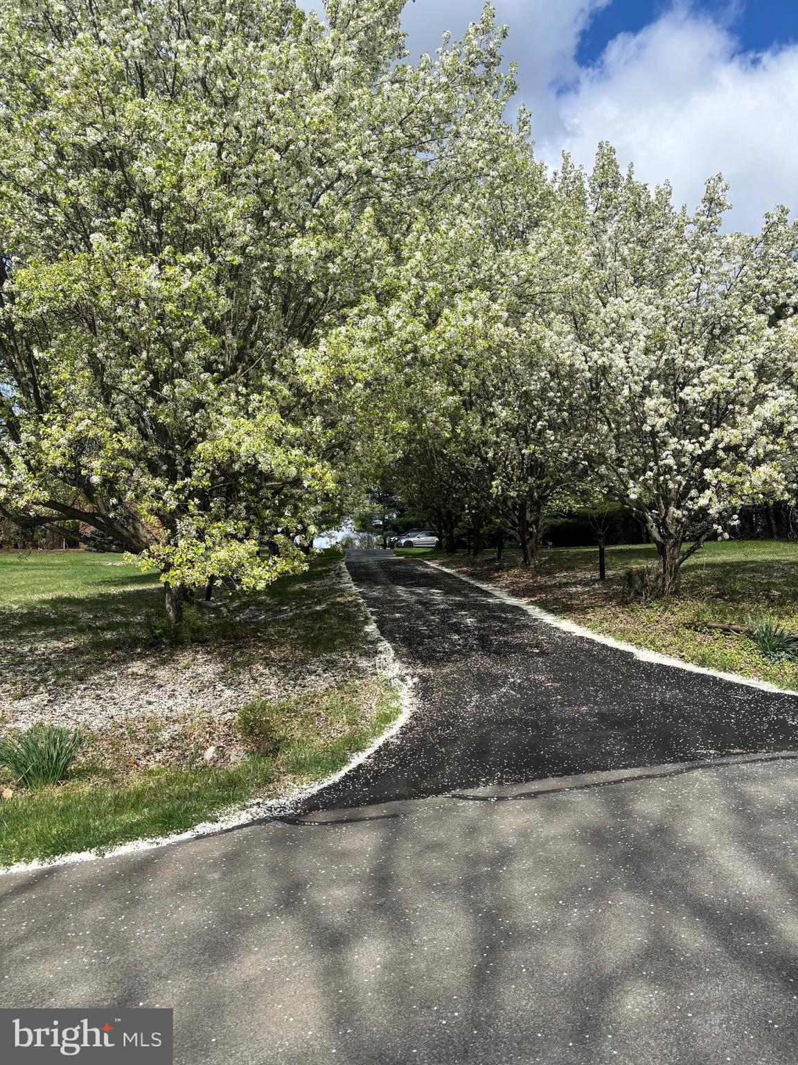 MEADOW SPRING FARM - Residential