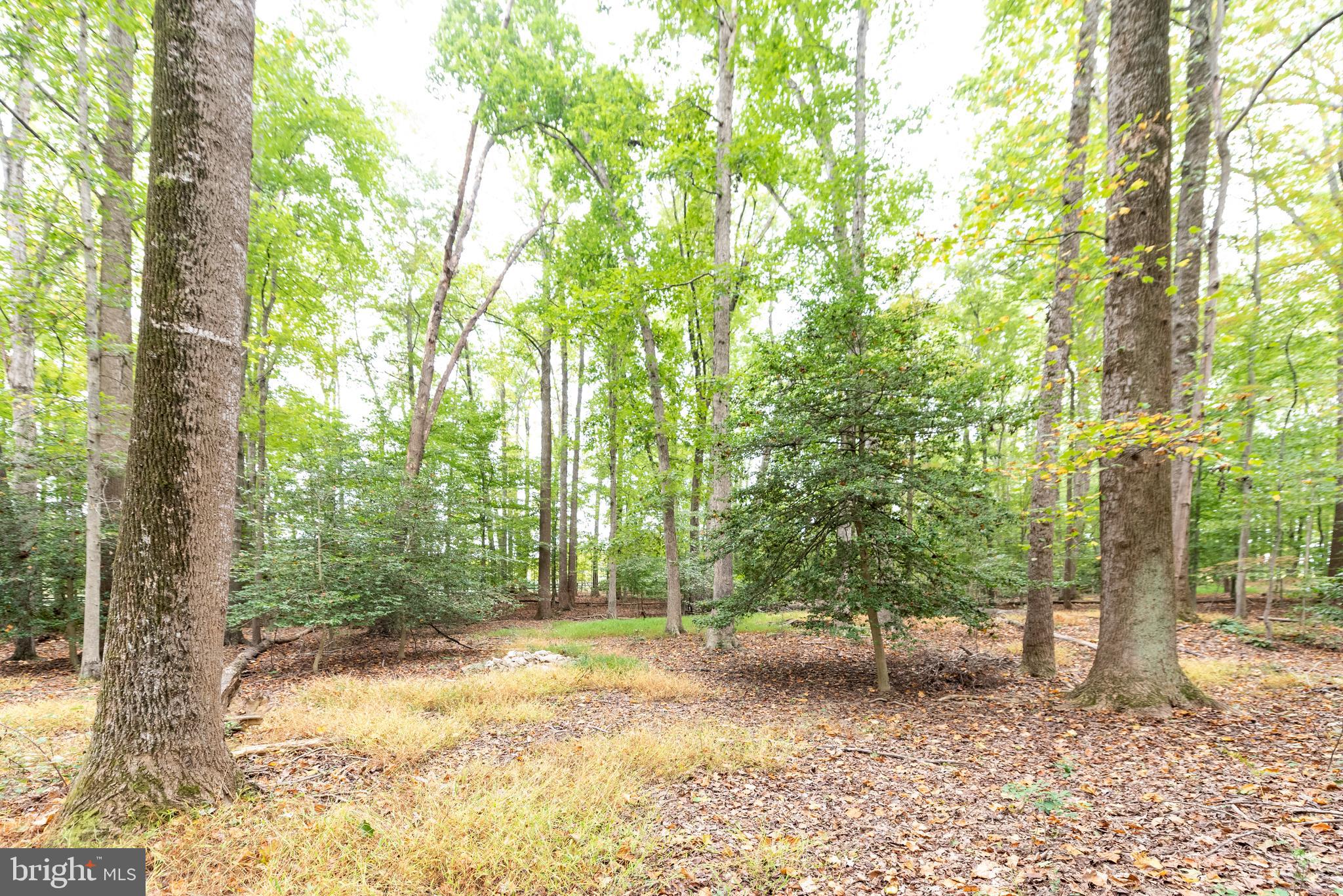 WEDGEWOOD - Residential