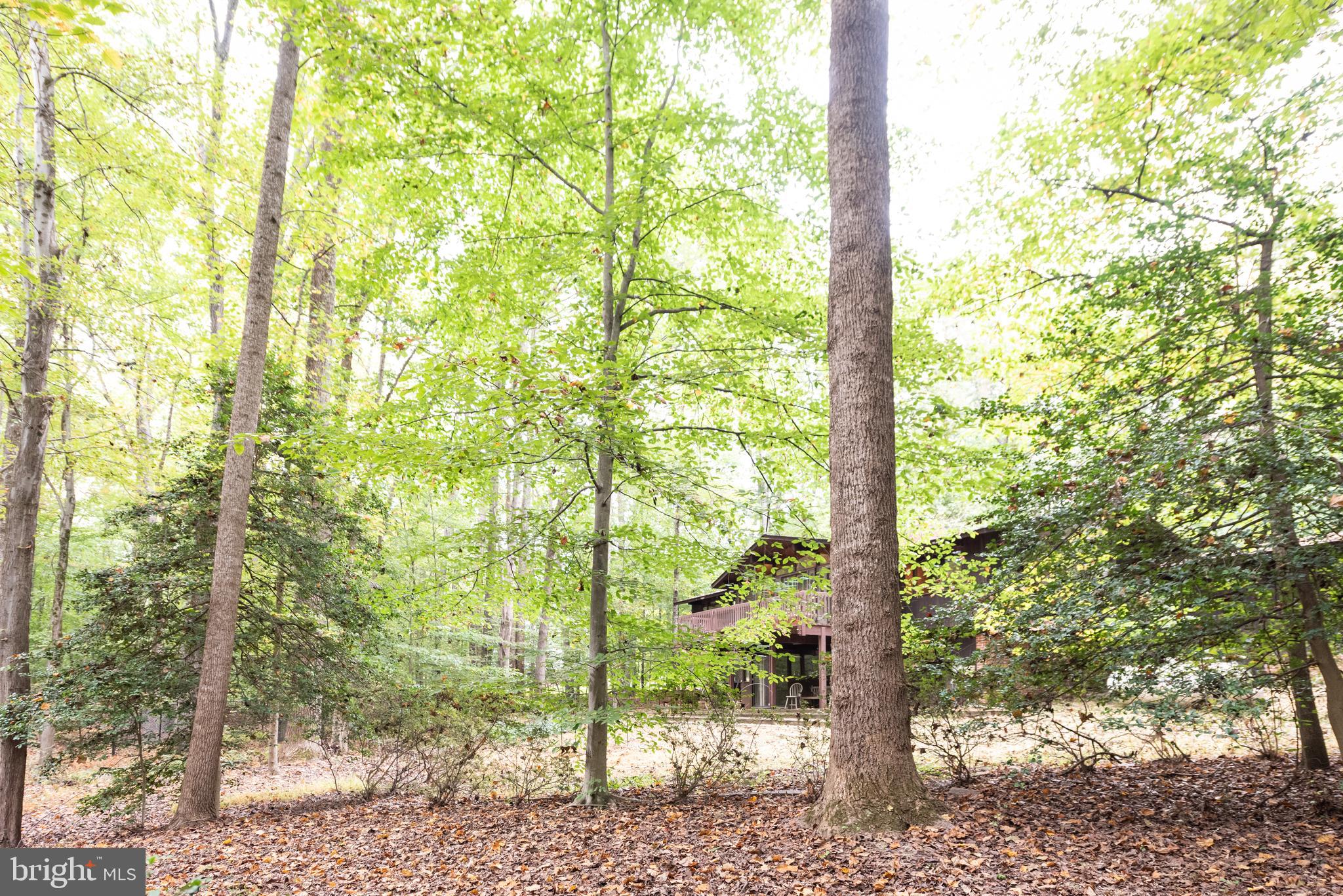 WEDGEWOOD - Residential