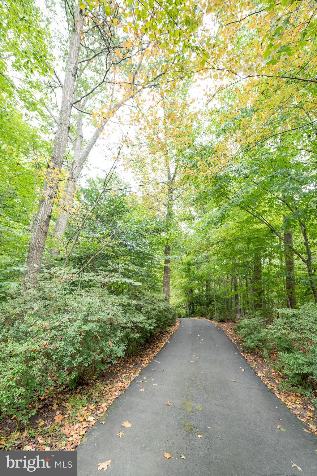 WEDGEWOOD - Residential