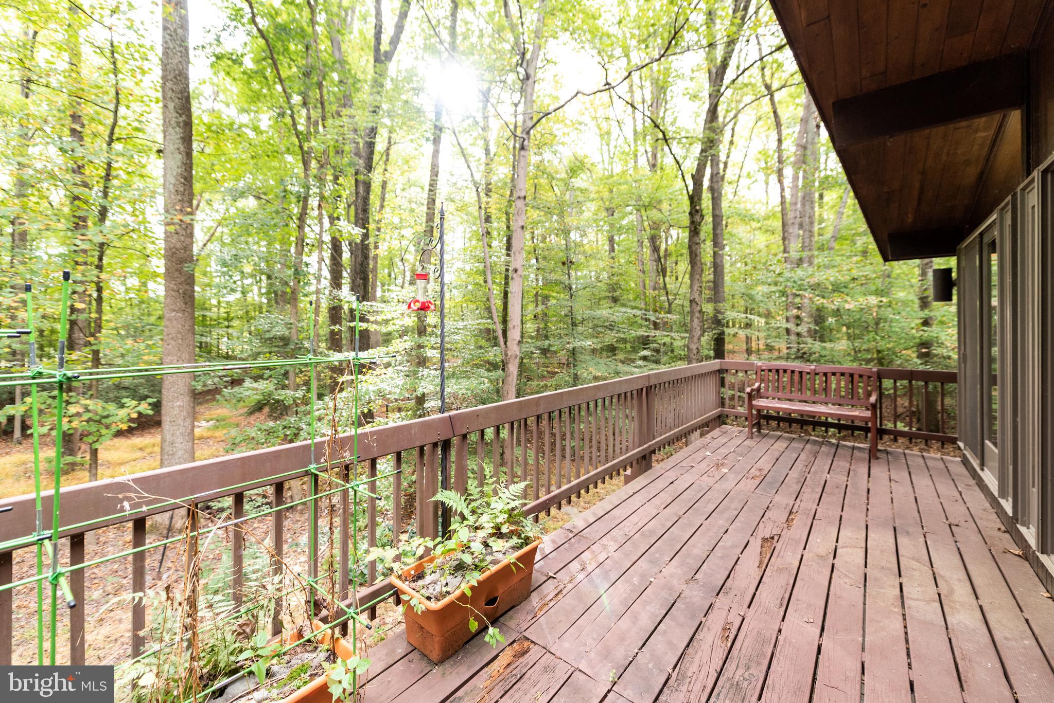 WEDGEWOOD - Residential