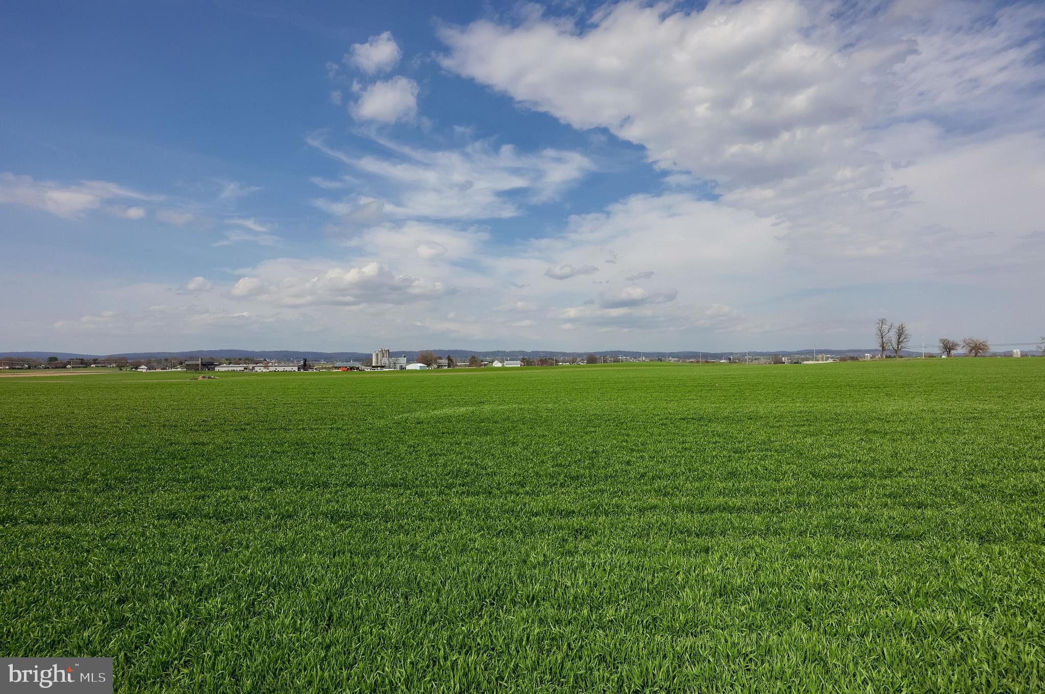 SYCAMORE ACRES - Residential