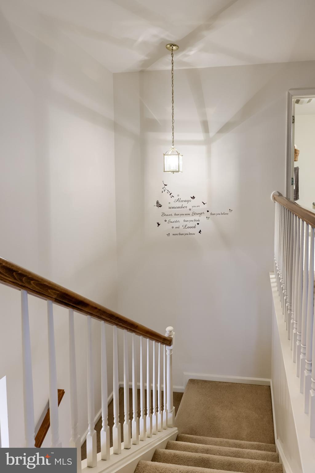 SYCAMORE ACRES - Residential