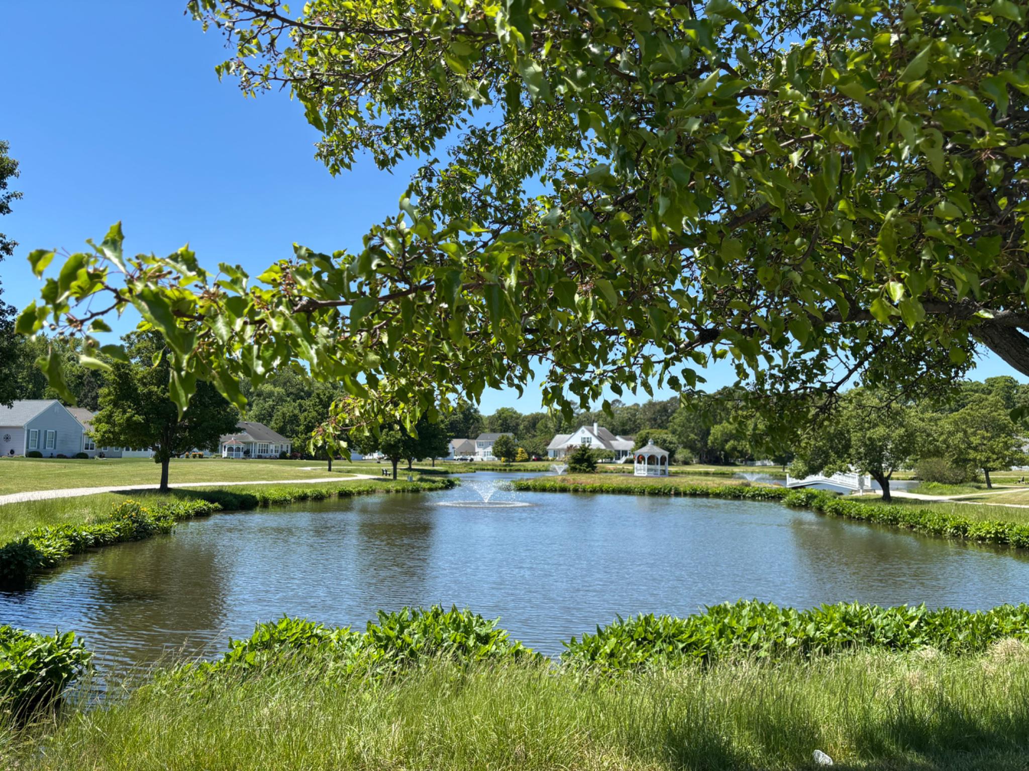 VILLAGES OF OLD LANDING - Residential