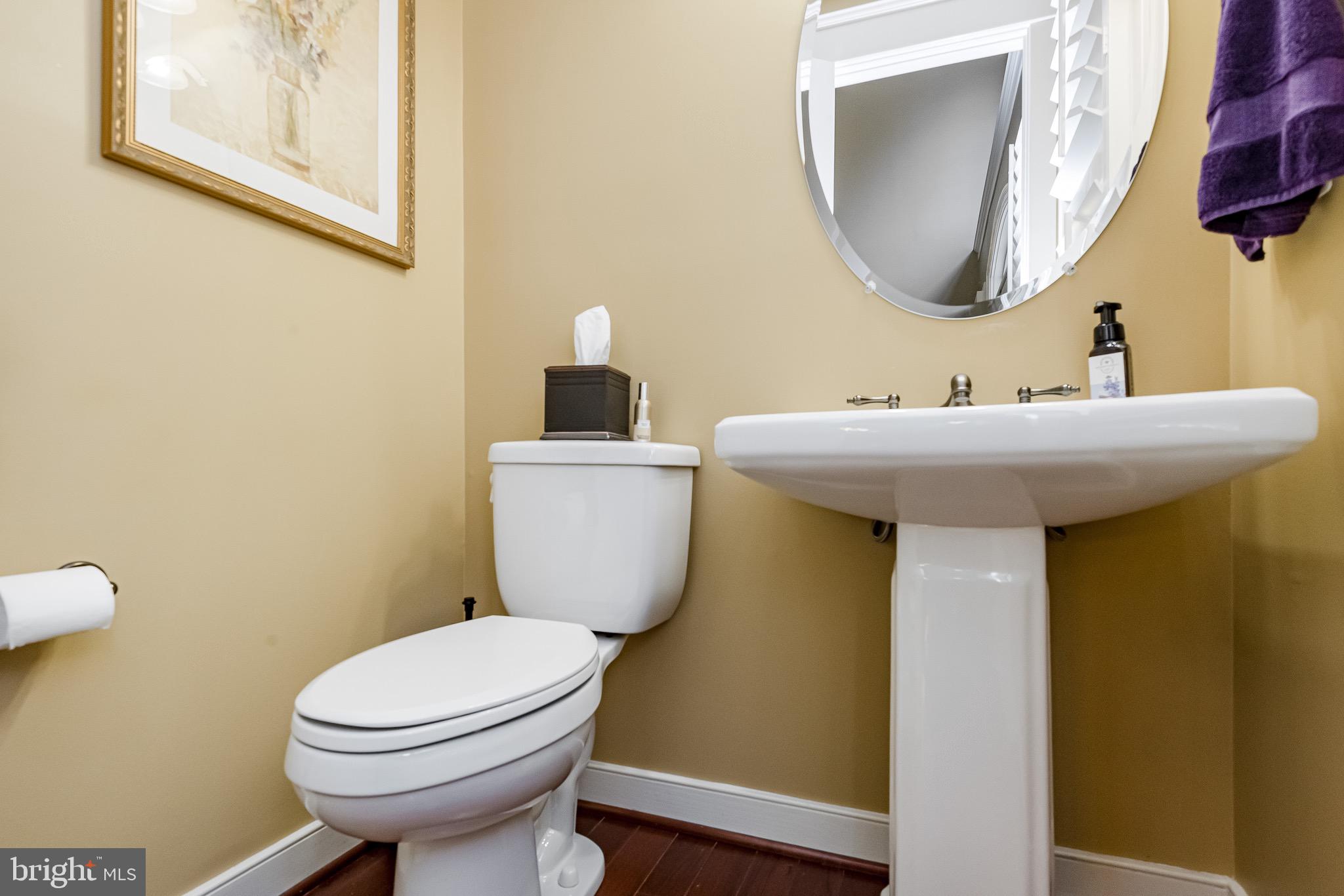 THE PRESERVE AT SEVERN RUN - Residential