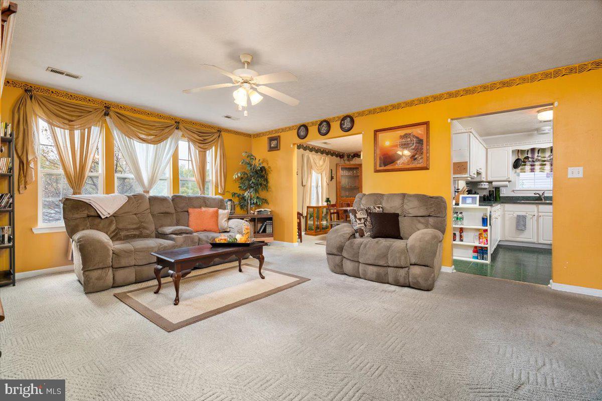 208 LAUCK DRIVE