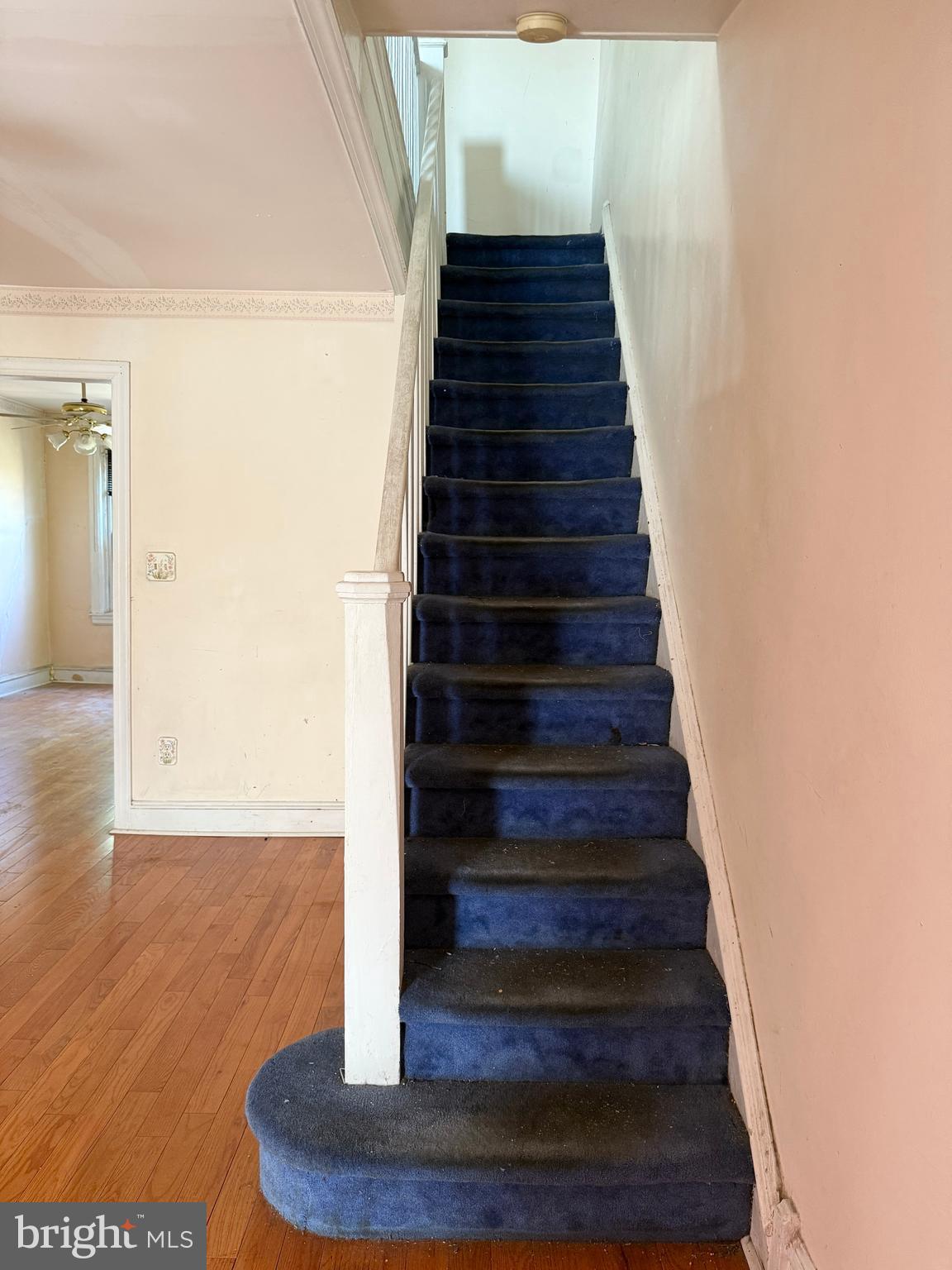 ELMWOOD PARK - Residential