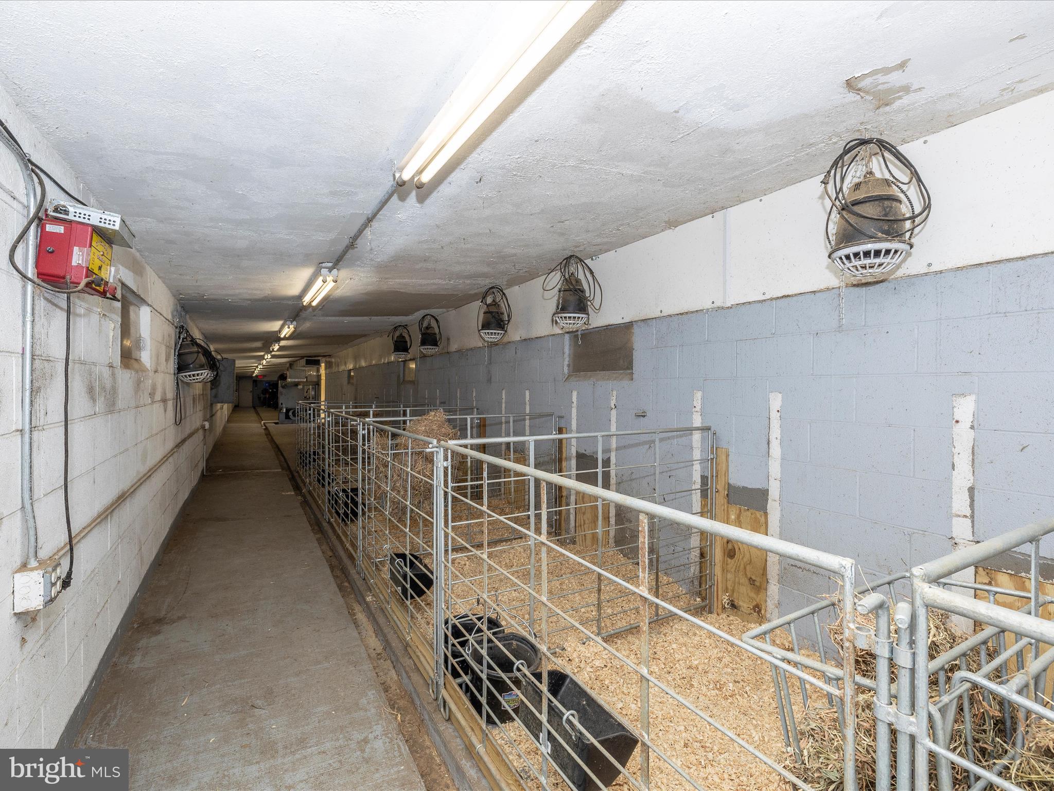 NONE AVAILABLE - Farm