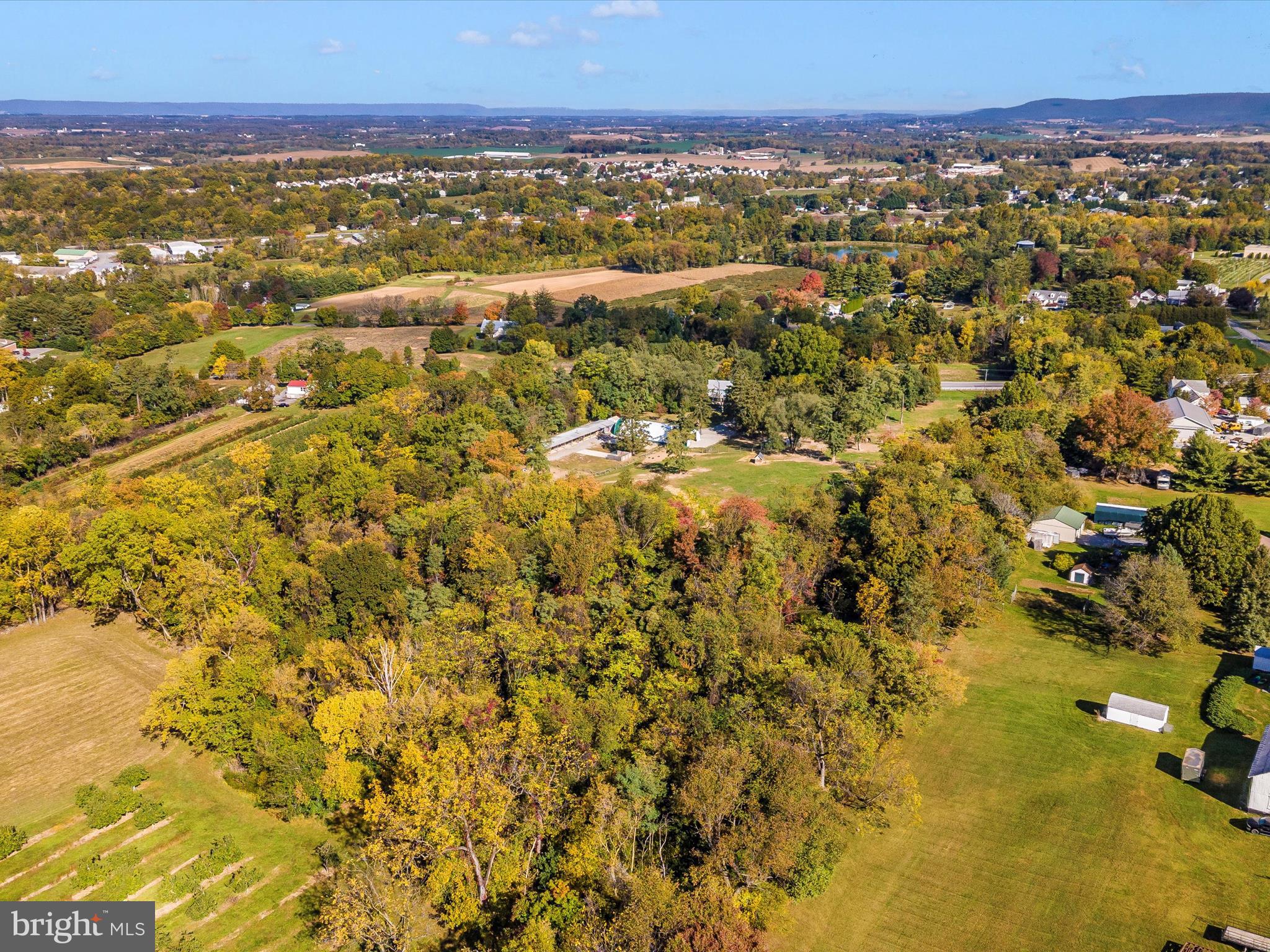 NONE AVAILABLE - Farm