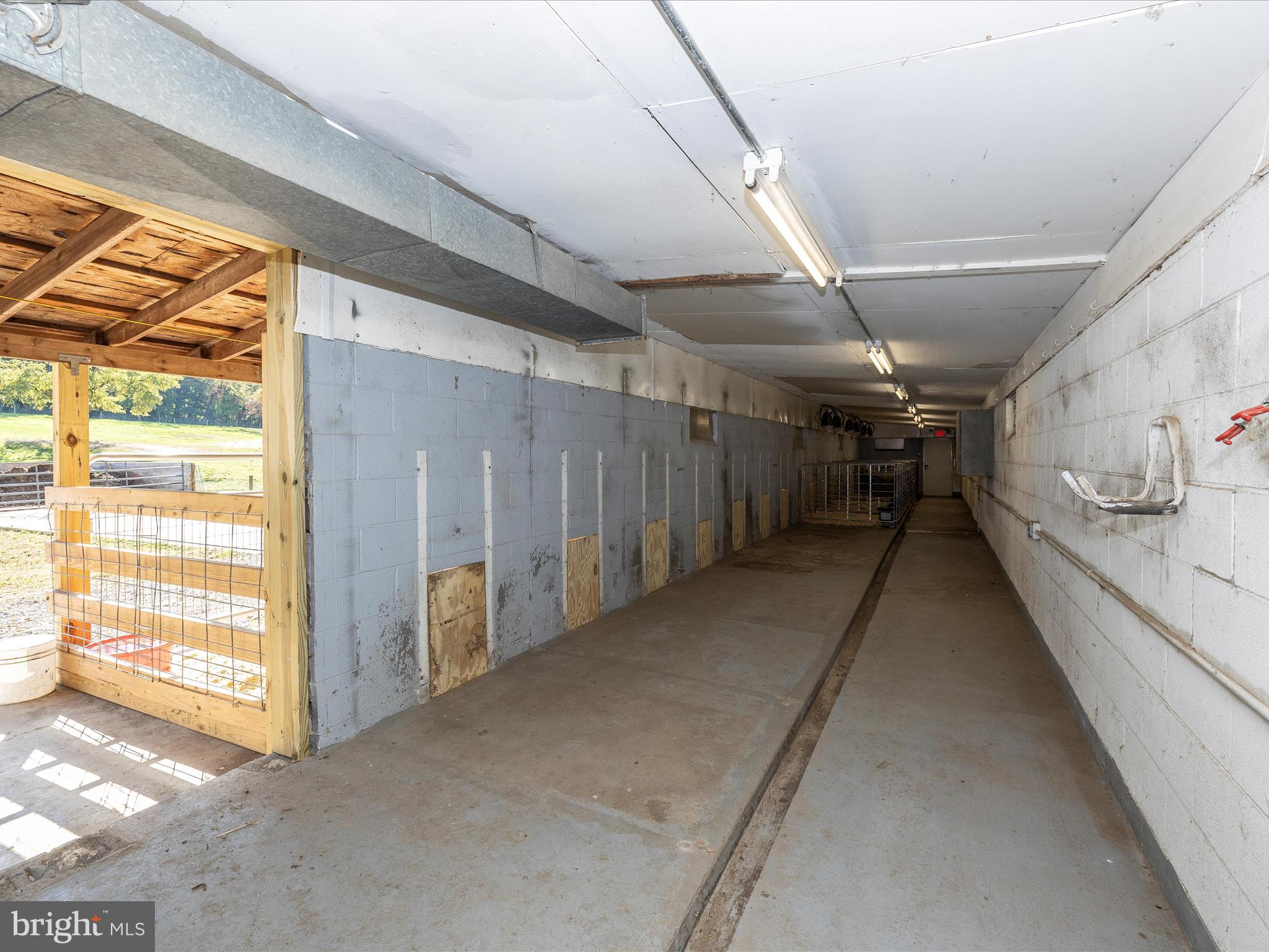 NONE AVAILABLE - Farm