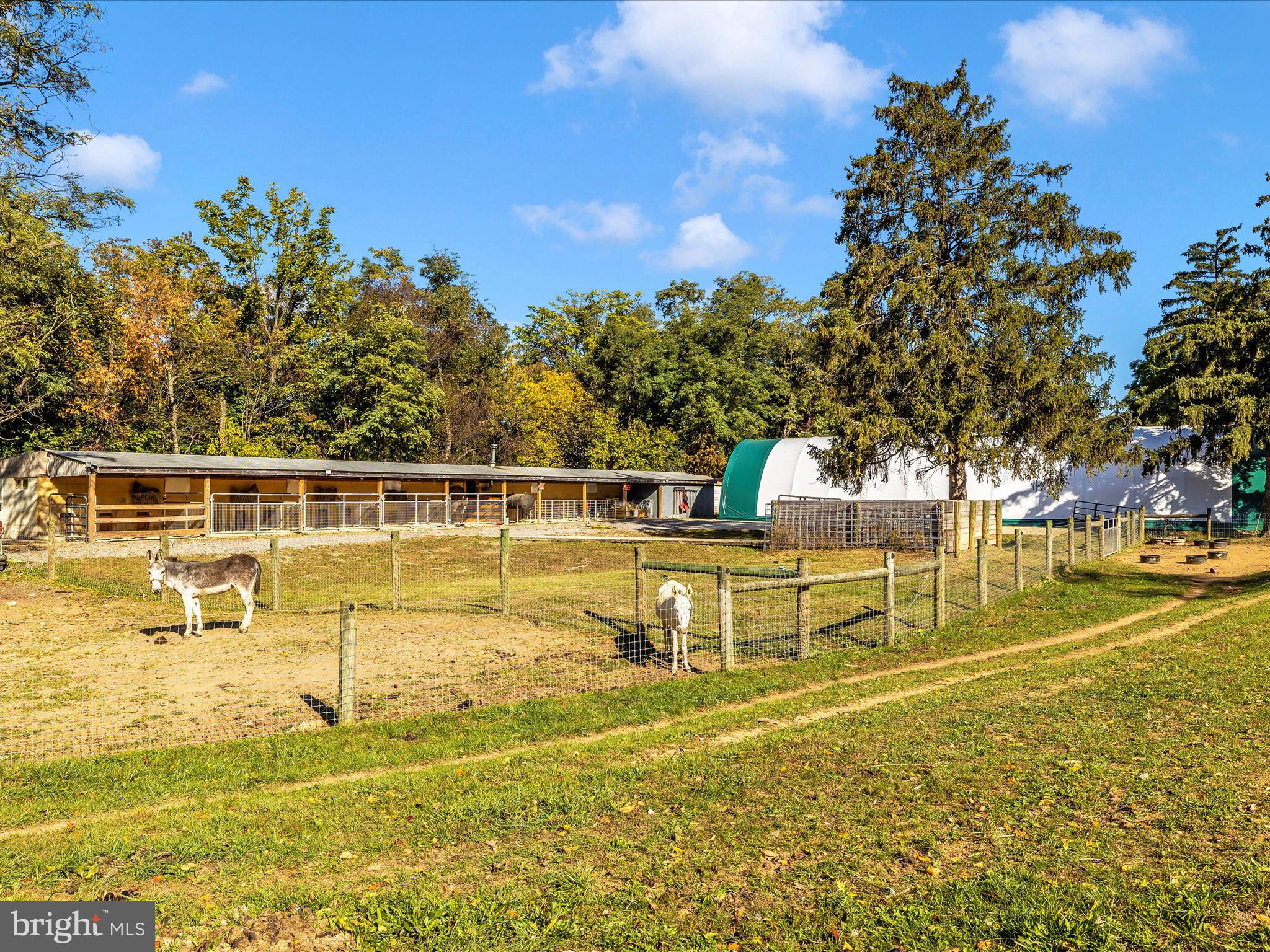 NONE AVAILABLE - Farm