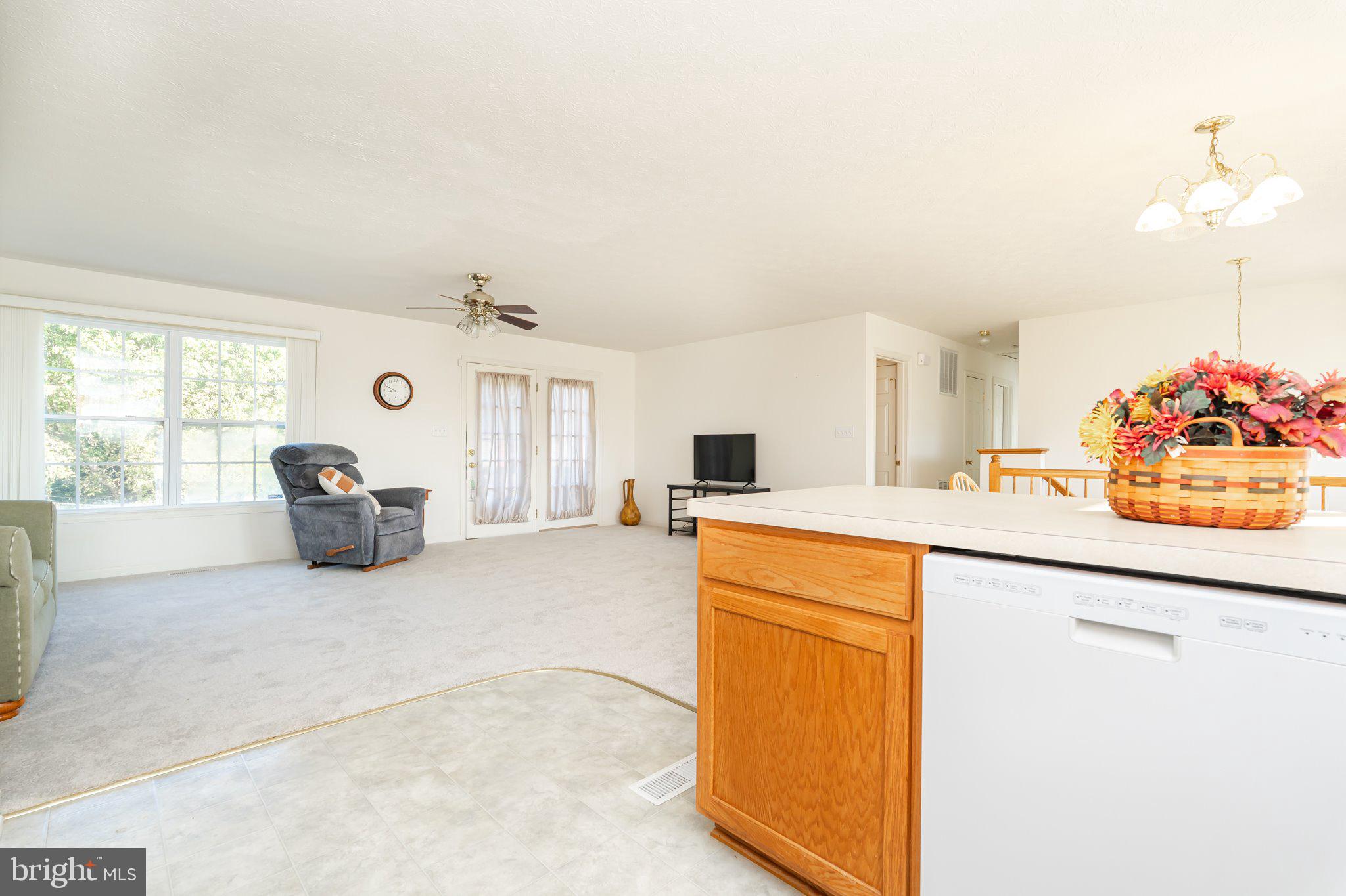 SENECA VILLAGE - Residential