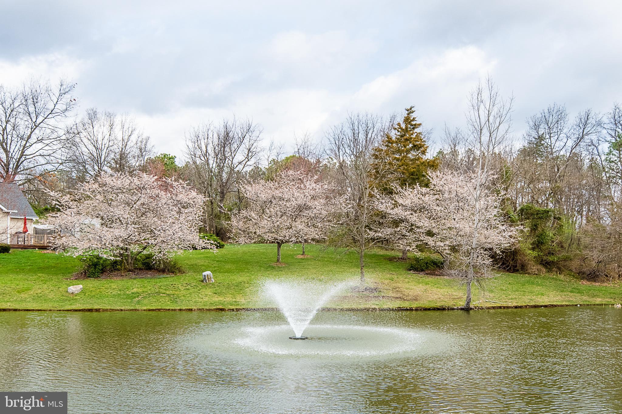 CHAPEL HILL - Residential Lease