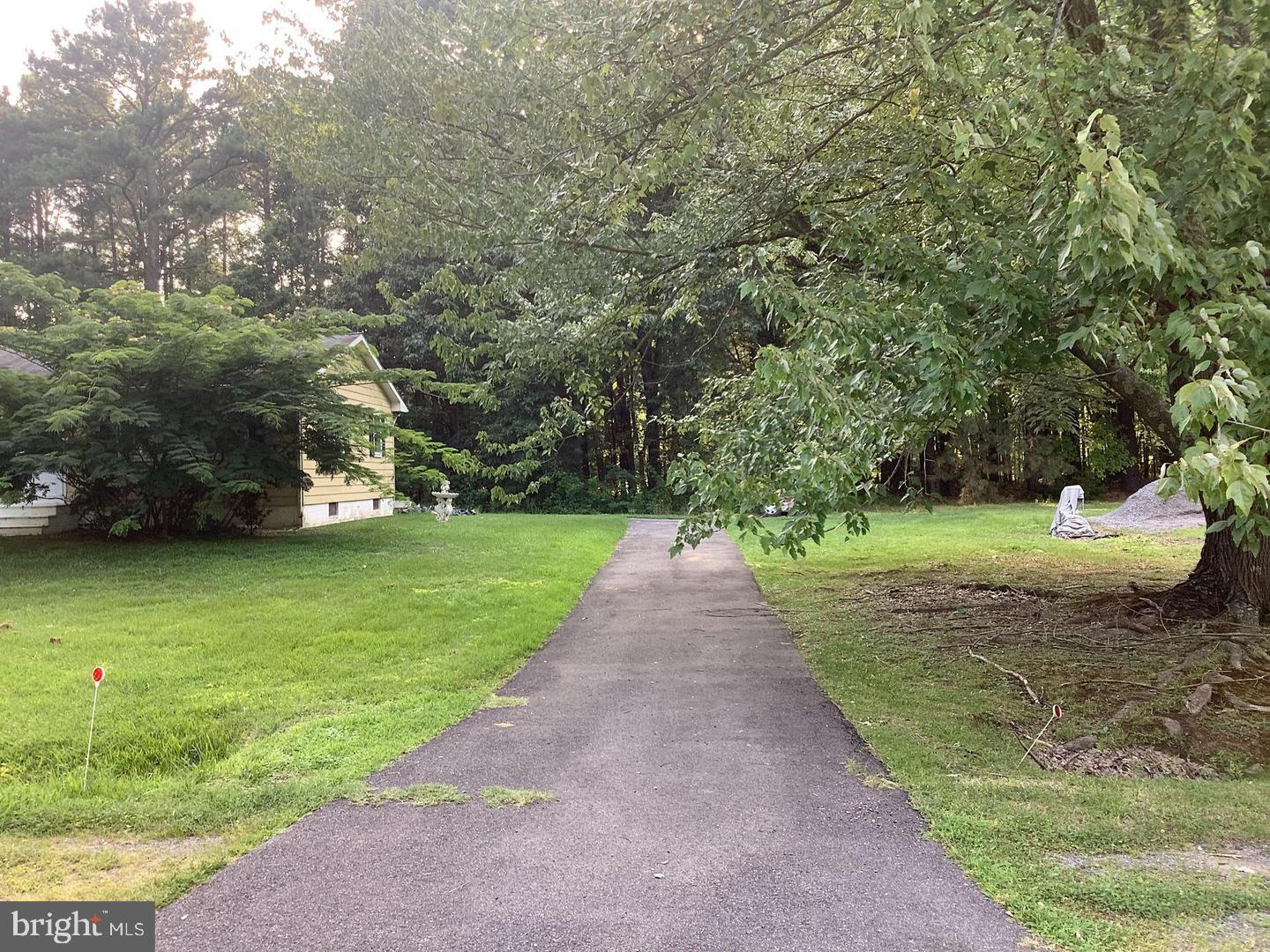 125 FOREST ROAD