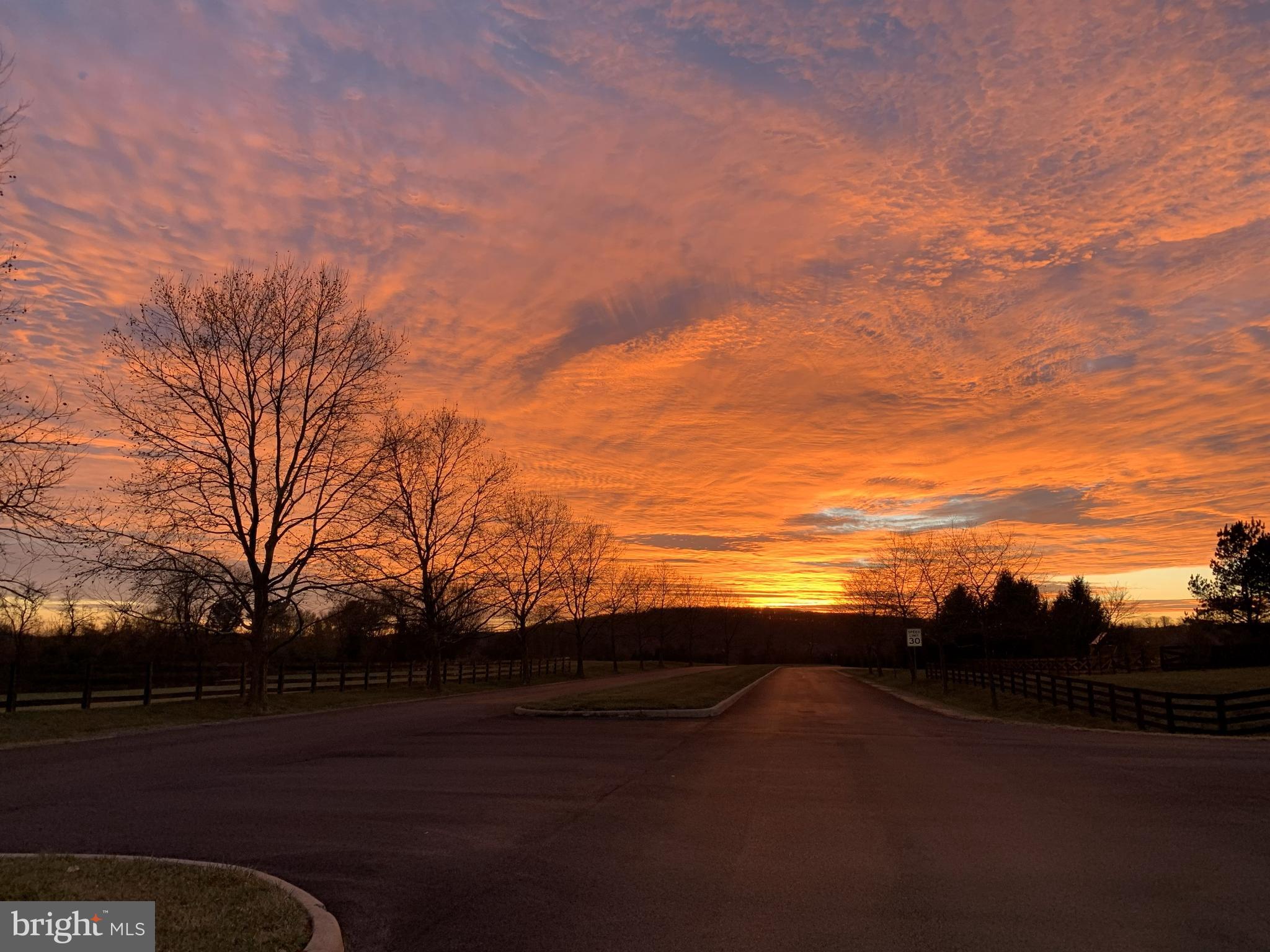 19606 BELLINGHAM LANE