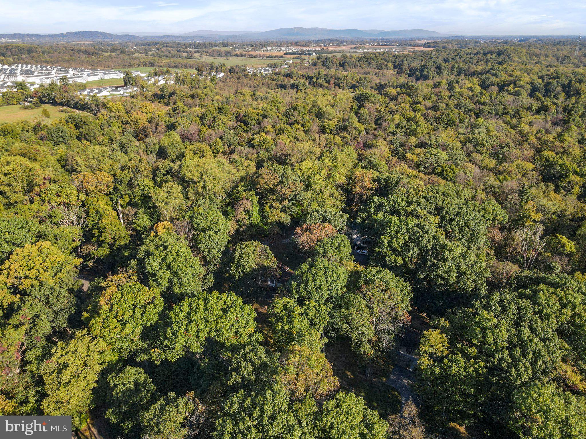 WOODBRIER MANOR - Residential