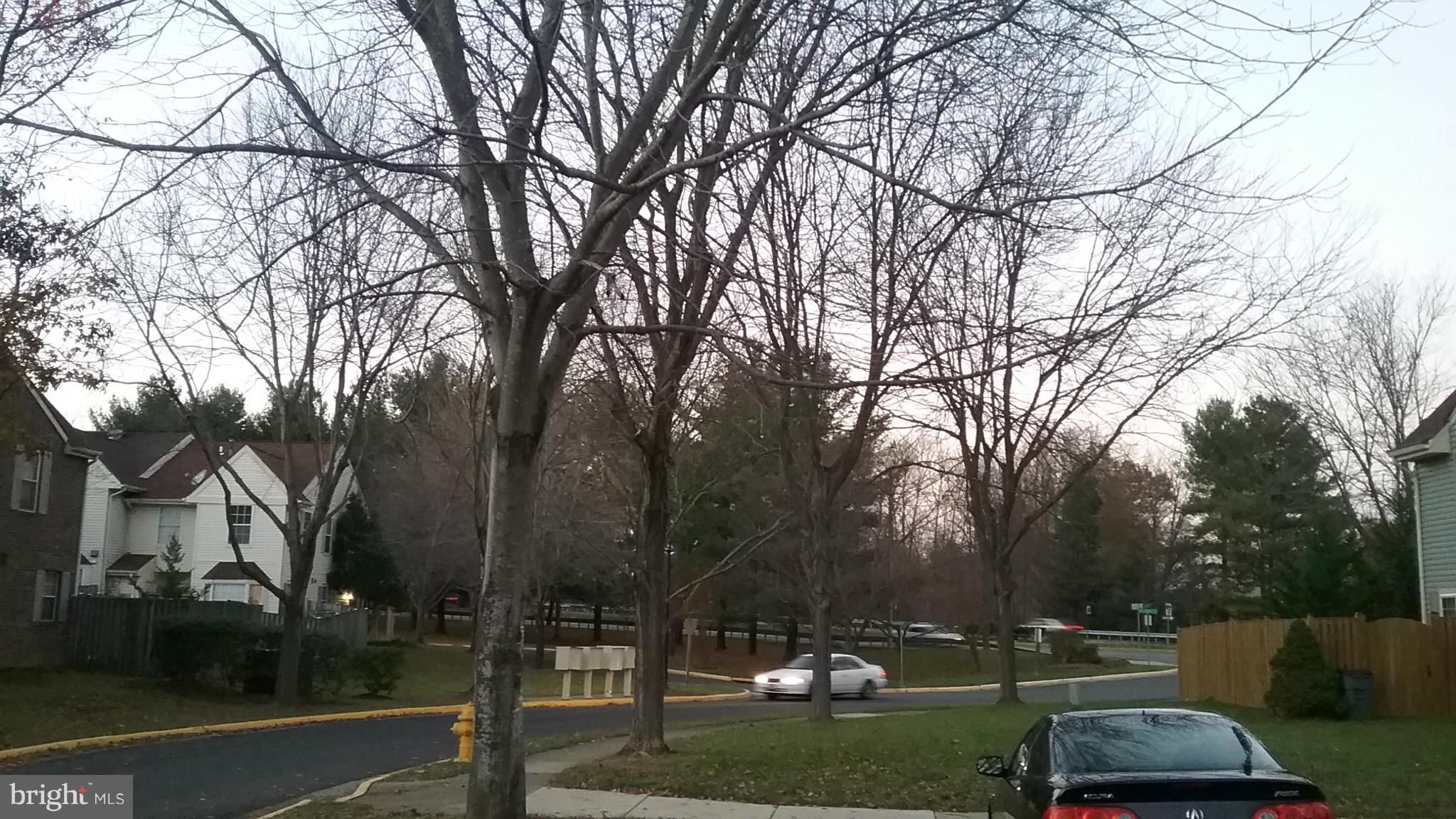 MONTCLAIR - Residential Lease