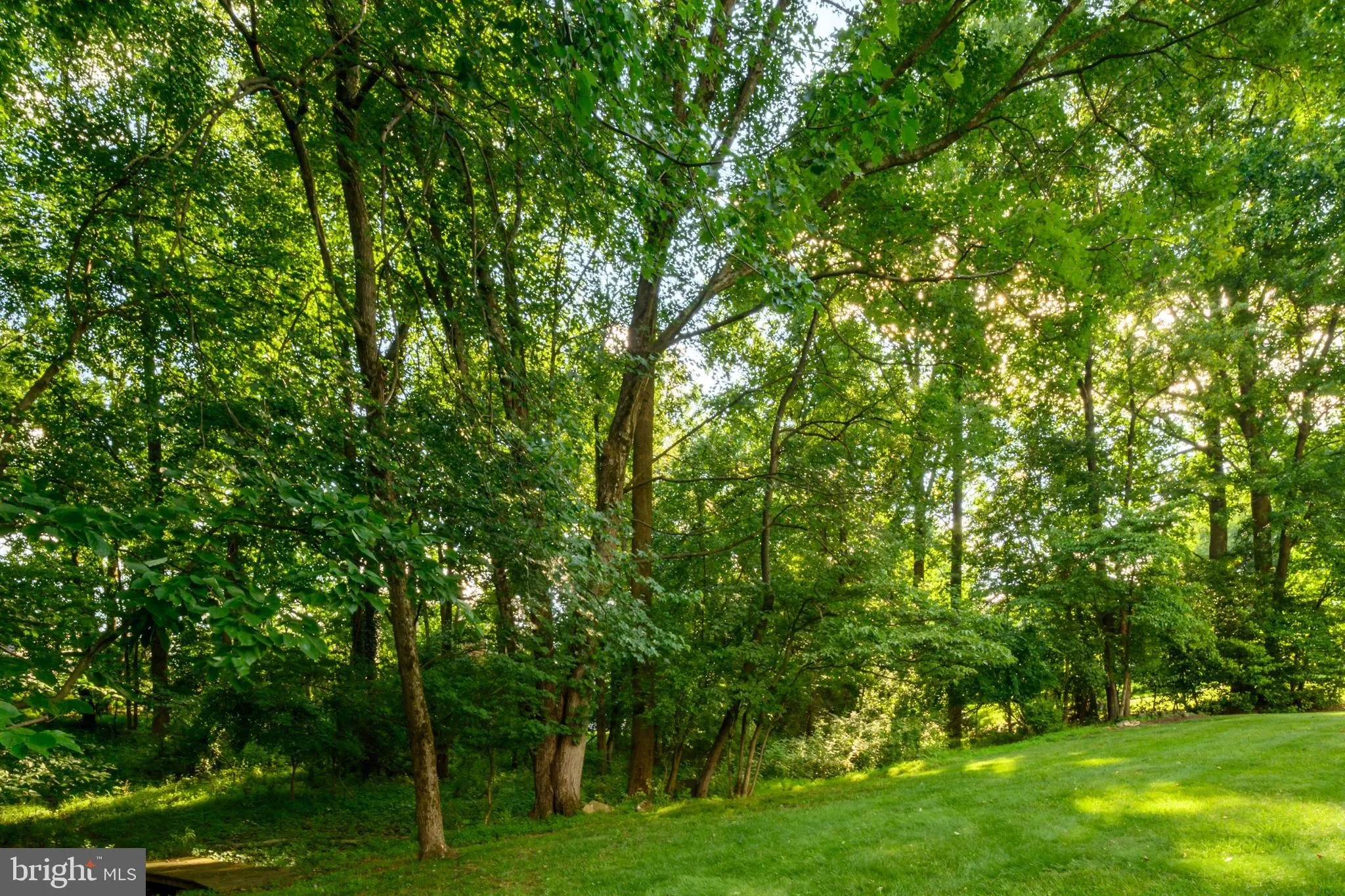 Additional image 100 of 8524 White Winter Court, Ellicott City, MD 21043