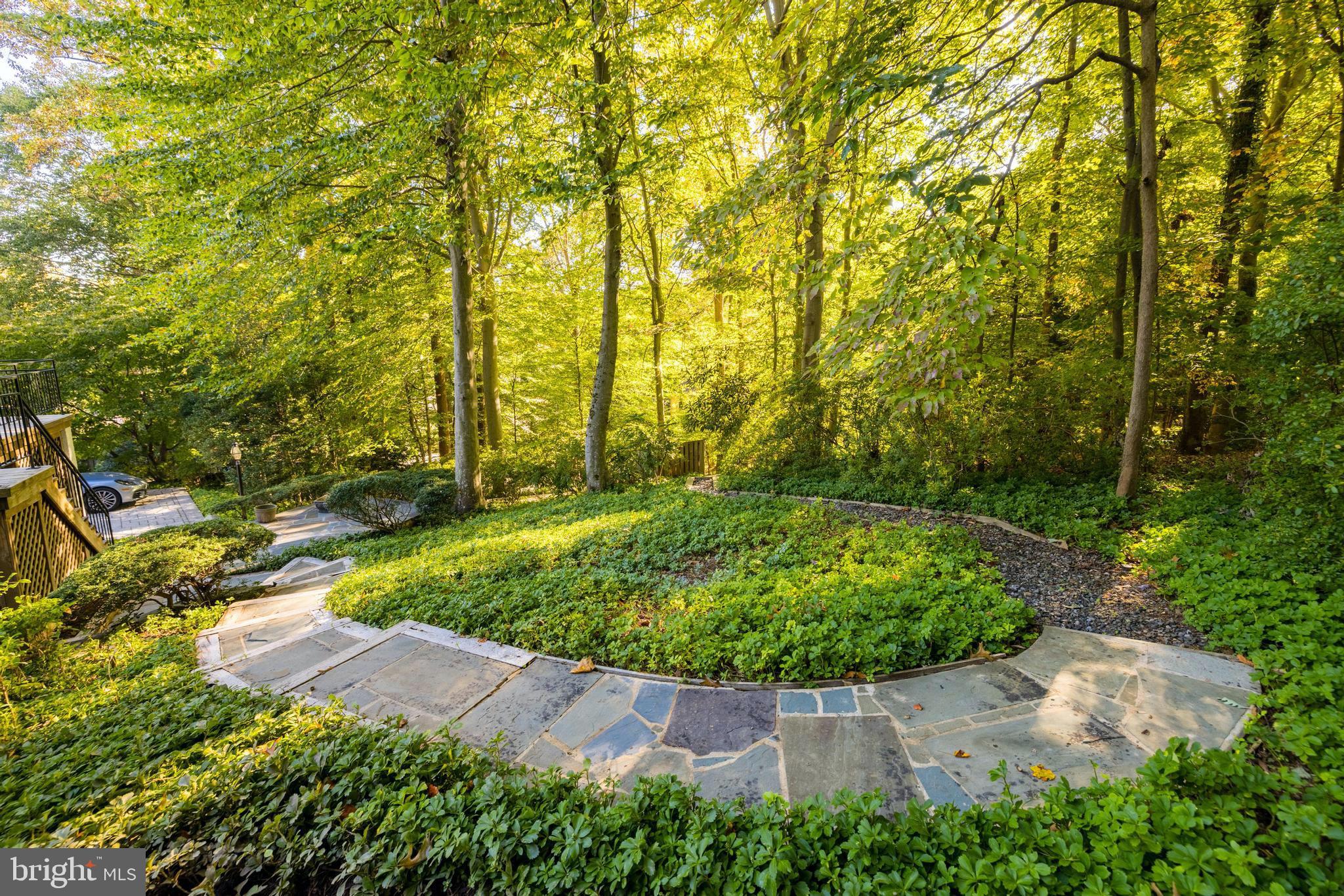 CHAIN BRIDGE FOREST - Residential
