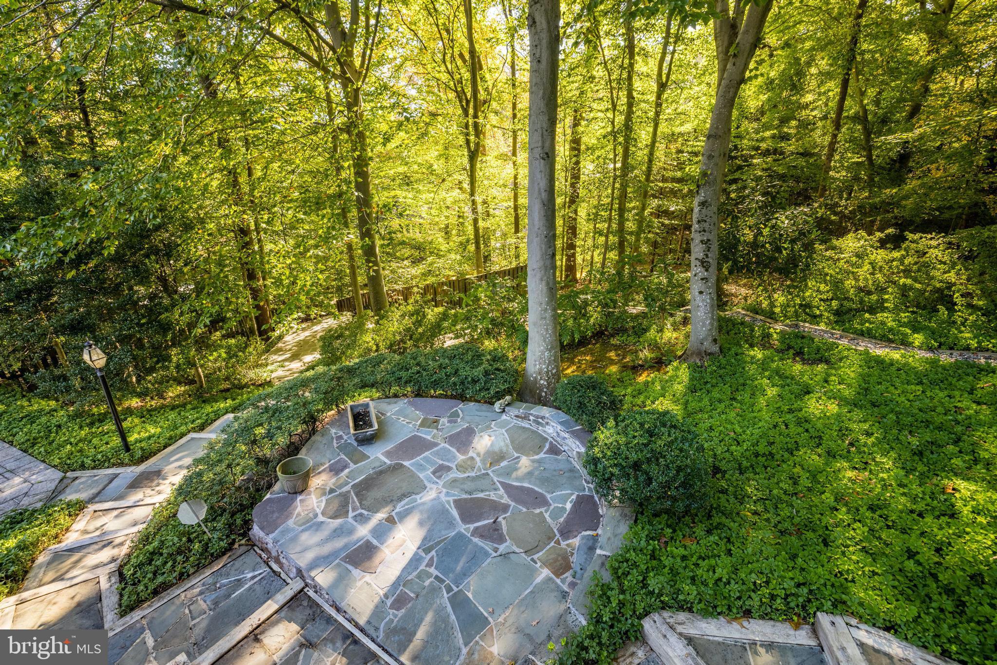CHAIN BRIDGE FOREST - Residential