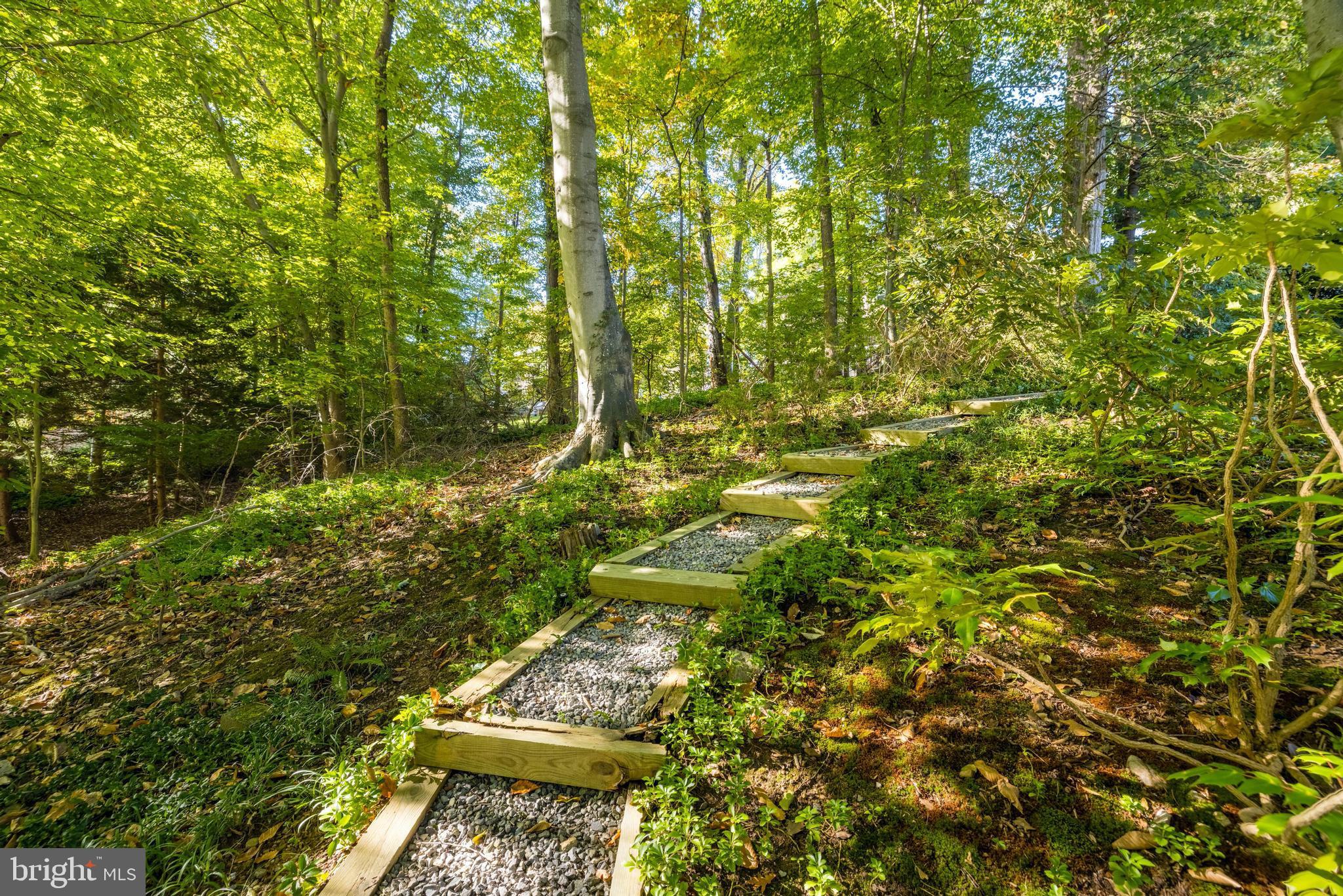 CHAIN BRIDGE FOREST - Residential