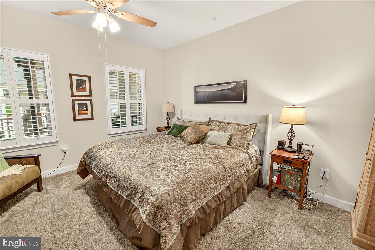 HARRINGTON TERRACE - Residential