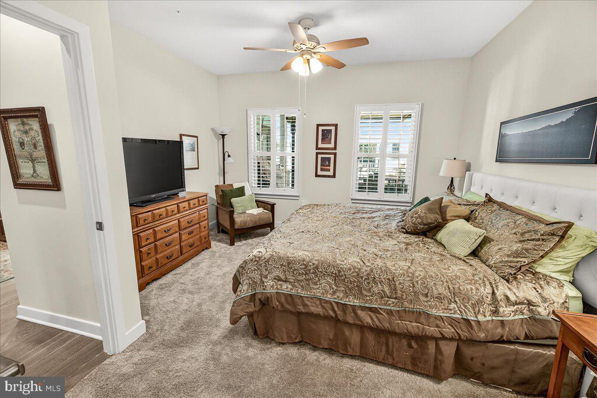 HARRINGTON TERRACE - Residential