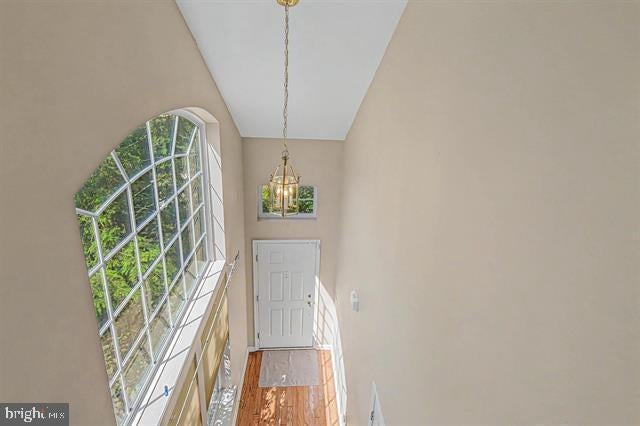 684 JUPITER HILLS LANE