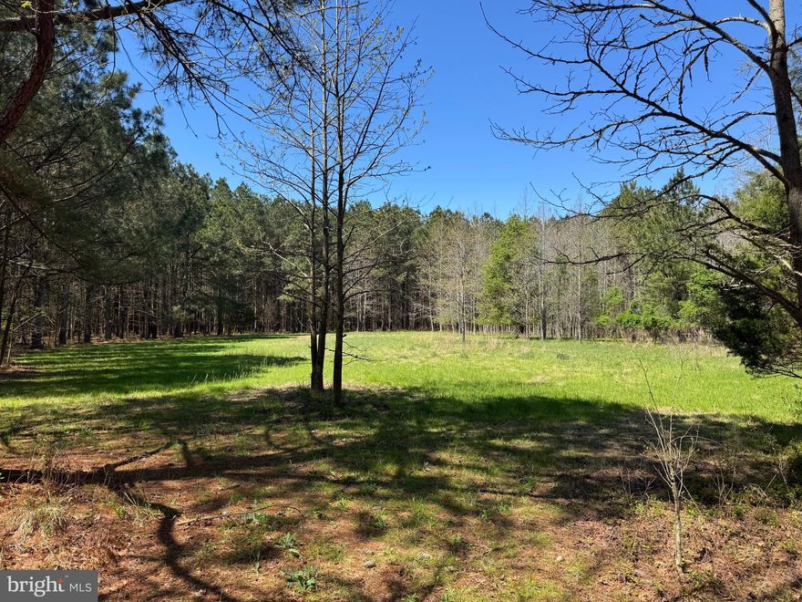 Imagine taking a stroll, and feeling like you're in a Realtree Outdoors video, well that is what it feels like touring this property. Dukes Lane has been created, designed, and managed for quality wildlife, and  you can see it in every detail on this property. From the clear cut thicket buffer along the road, to the picture perfect food plots you'll find scattered thoroughout the woods. This 193 acres is laid out to be a hunters dream, all while maintaining the perfect habitat for wildlife. Part of this property was put into a Conservation Reserve Enhancement Program (CREP) easement. The purpose of this easement is to maintain conservation practices that protect water quality and natural resources. When the easement was put into place, many of the improvements you will see on the property were done, including an approximately 10+/- acre impoundment with a pond. THE BEST DEER SIGN IS IN THE IMPOUNDMENT! When touring the property you'll find an extensive road system leading you around the boundary and throughout the property, all planted and maintained, with sawtooth oaks planted on the edges. There are 5 strategically placed box blinds on the property overlooking food plots,  and great views into the mixed pines and hardwood forest. In the back of the property you will find a great sanctuary/thicket overlooking a pond for some great waterfowl opportunities if you desire. The hunting for whitetail deer and turkey is excellent on this property, and trophies pushing 170" class deer have been taken, with bigger seen. The deer have food, water, and shelter that allows them the time to get old and big. The back NW & SW portion of the property backs to another private landowner with 200+ acres in preservation, and the NE & SE portion of the property backs to State Forest Lands that are leased. A true bonus to have a property surrounded by big woods that is forever preserved, so you can count on the property remaining the same along with it's surroundings. The privacy of this land can't be beat, but neither can the convenience of it either, sitting on 13, you are only minutes to Princess Anne, Salisbury, and points east on Maryland's Eastern Shore. As an added bonus there is amost an additional 18 acres across 13 that are part of this property, and it has been described as the properties hidden "GEM". Don't miss out on the chance to see one of the finest hunting and recreational properties that we have had the pleasure of showing. Schedule your private showing today!

To note: 153 +/- acres is under a CREP Easement through the State of Maryland. The purpose of this easement is to maintain and improve the property for wildlife. The portion of the property across the road (Rt. 13) and 13 +/- acres of the easement side along the road of this property is zoned C-2 Commerical. With this zoning, you will be allowed to build if you choose to do so.