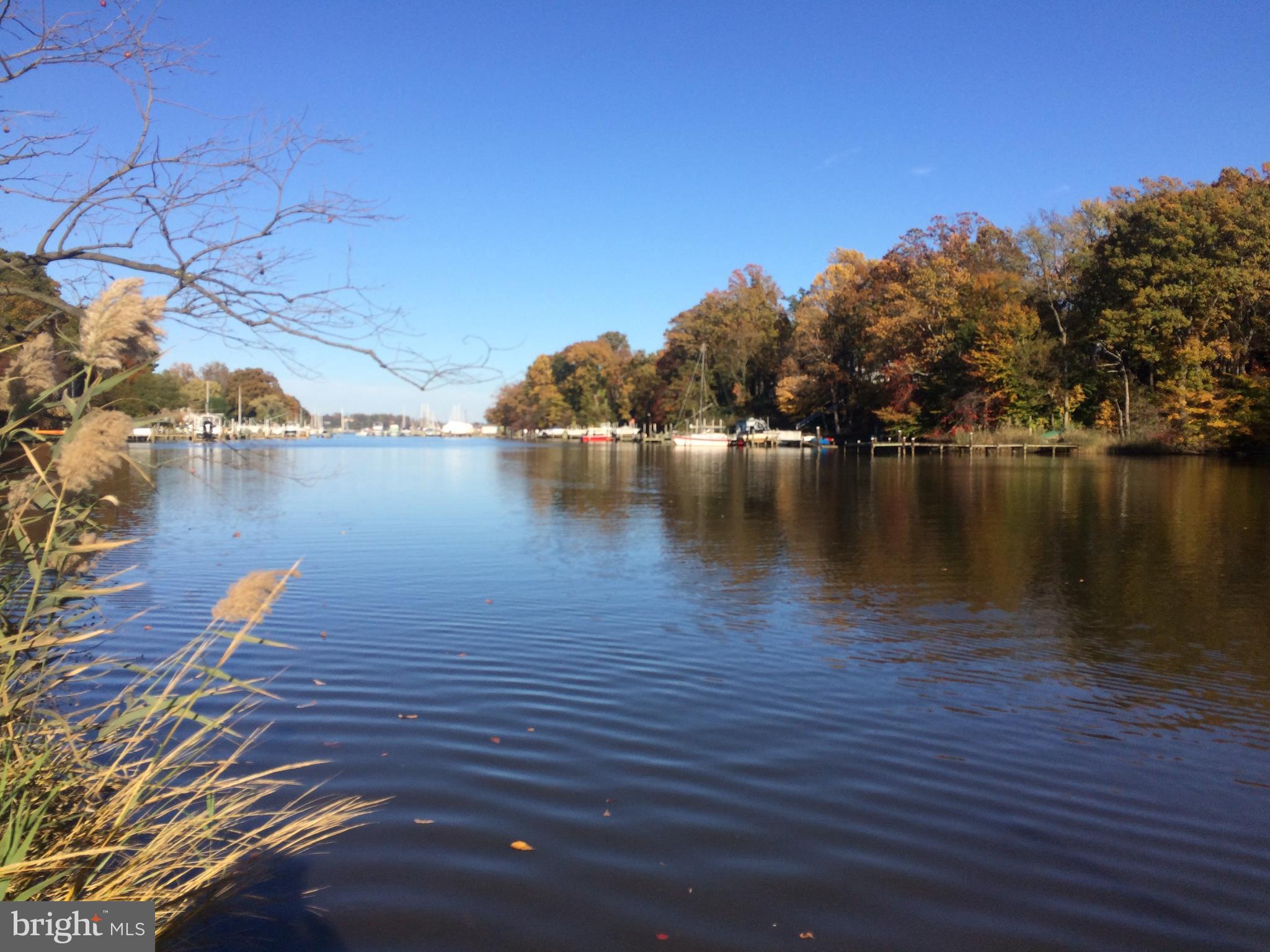 DIVINITY COVE - Residential