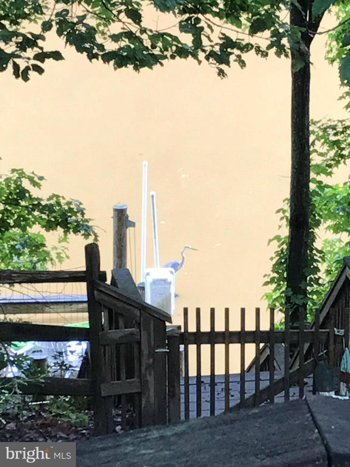 DIVINITY COVE - Residential