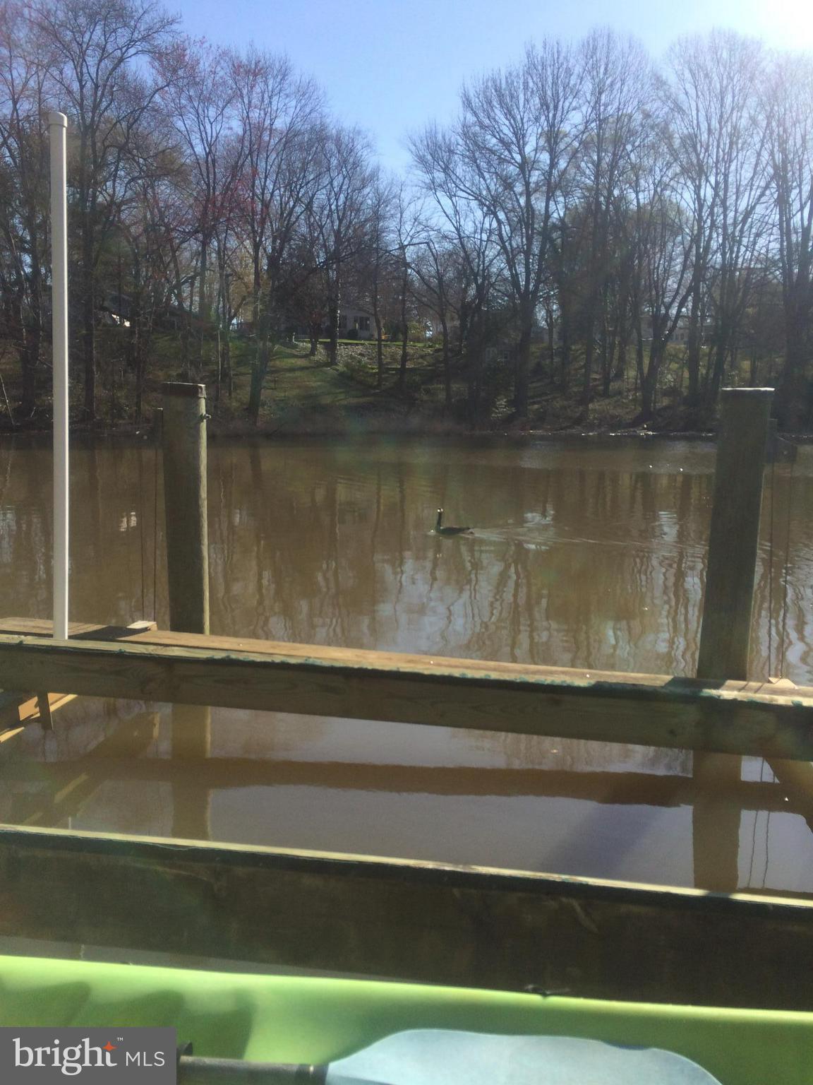 DIVINITY COVE - Residential