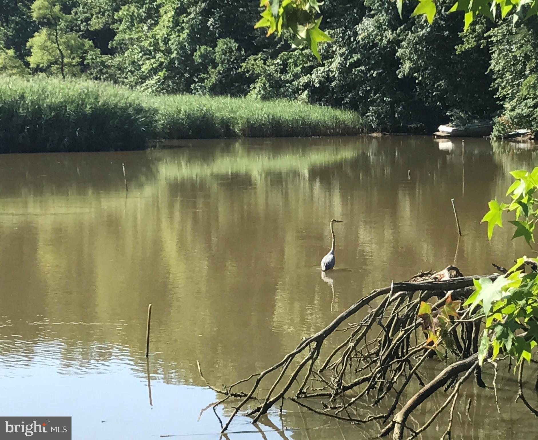 DIVINITY COVE - Residential