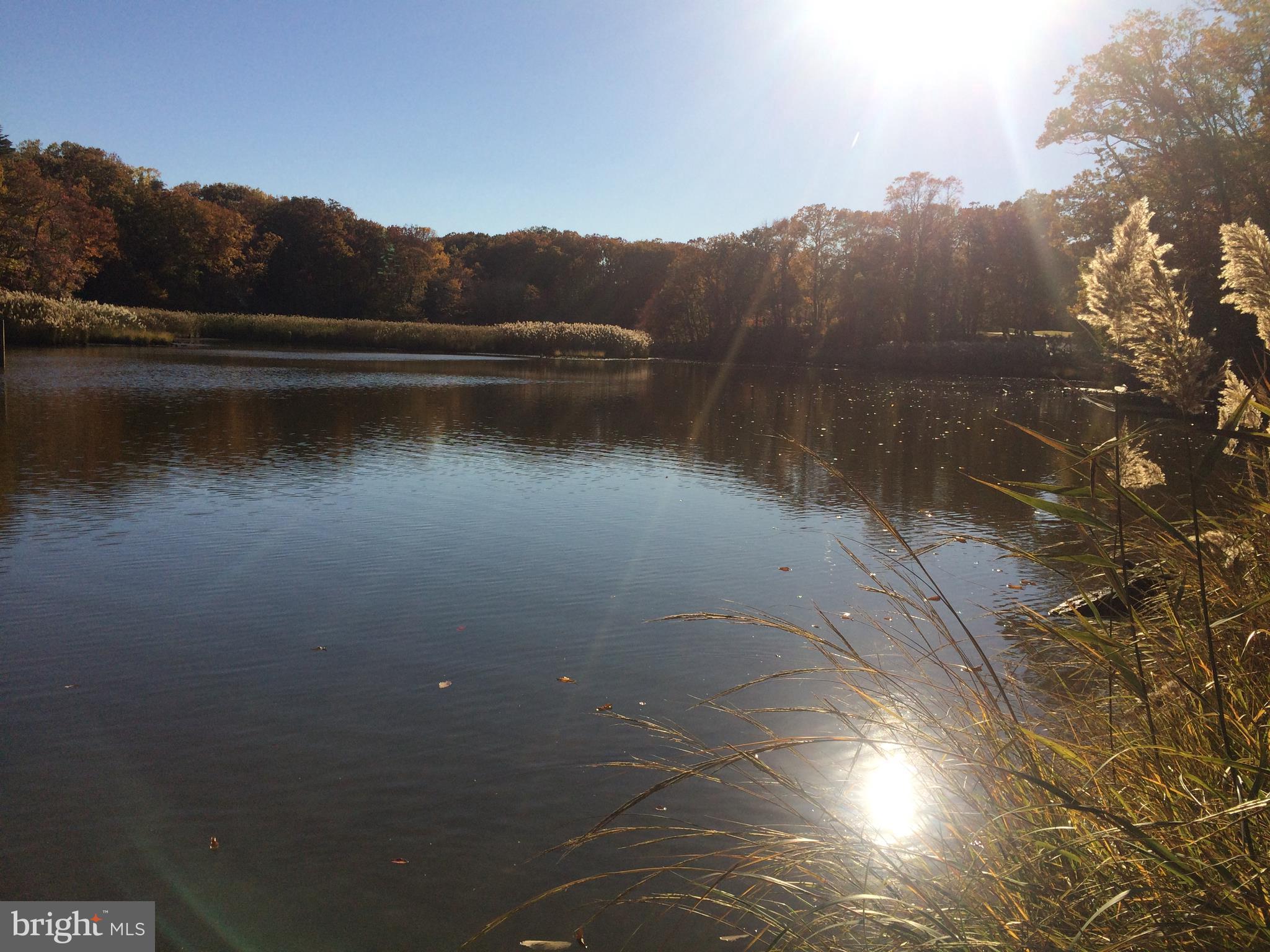 DIVINITY COVE - Residential