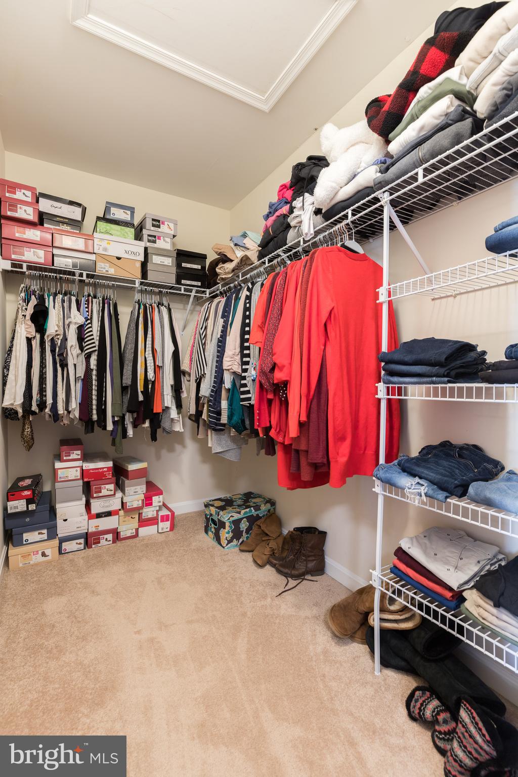 CONSTANT FRIENDSHIP - Residential