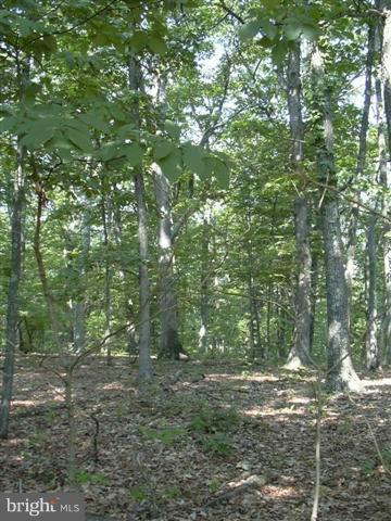 Excellent Opportunity To Own A Very Nice Country Wooded Lot With City Water, Underground Utilities And Easy Access Off US Rt. 50. Minutes From Romney, WV And Only 40 Minutes To Winchester, VA. Possible "ZERO" Down Owner Financing. Call Office For More Details! Don't Miss Out On This Opportunity To Own Your Own Piece Of West Virginia Land!