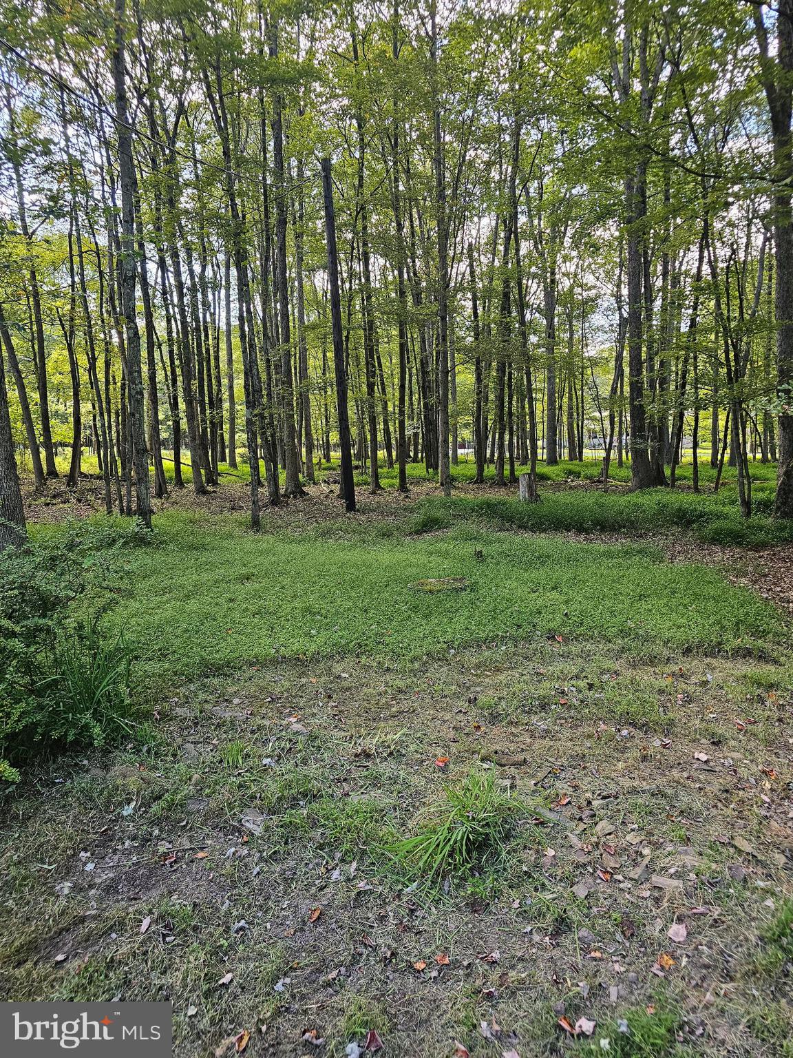 TOWAMENSING TRAILS - Residential