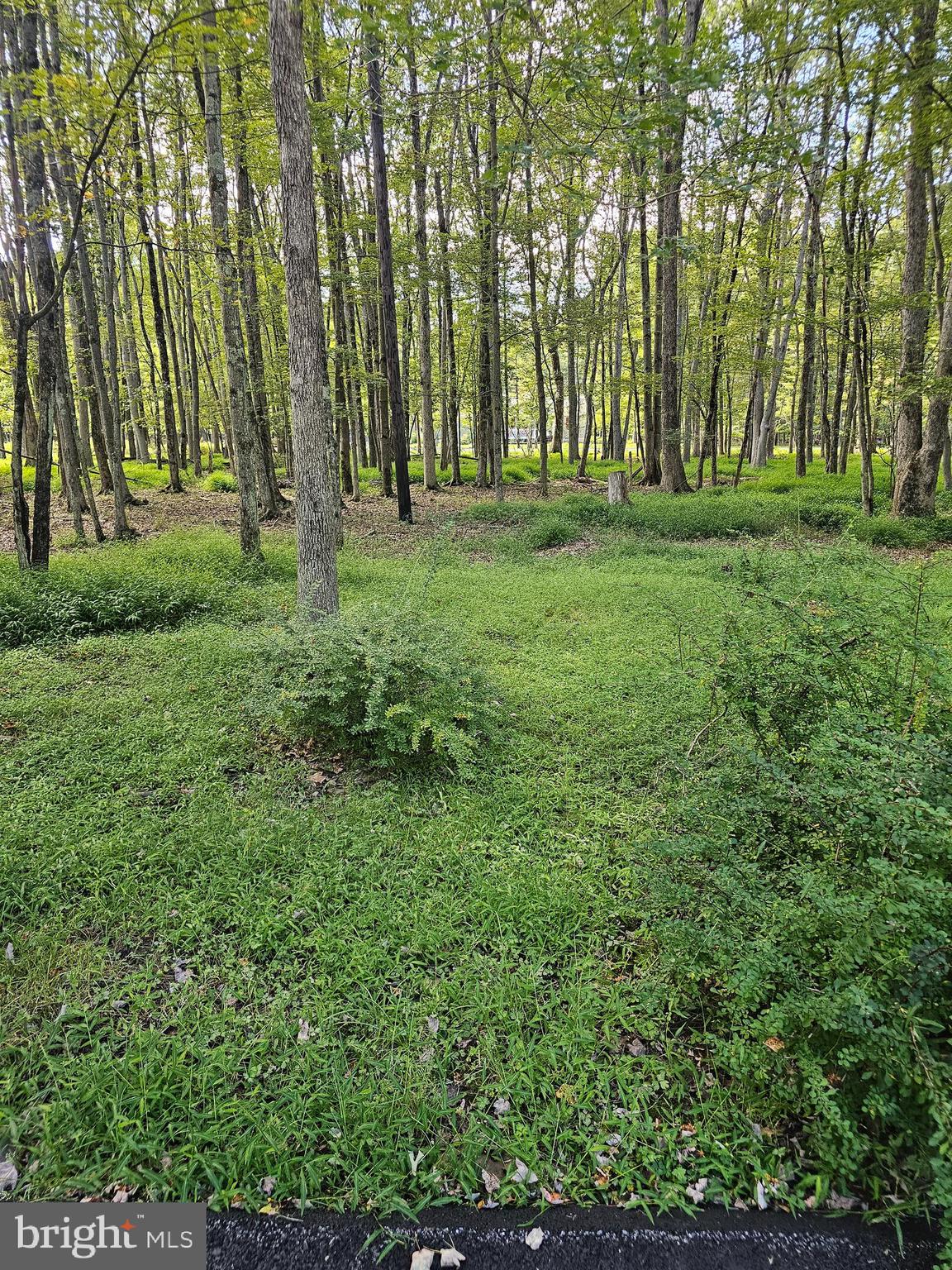 TOWAMENSING TRAILS - Residential