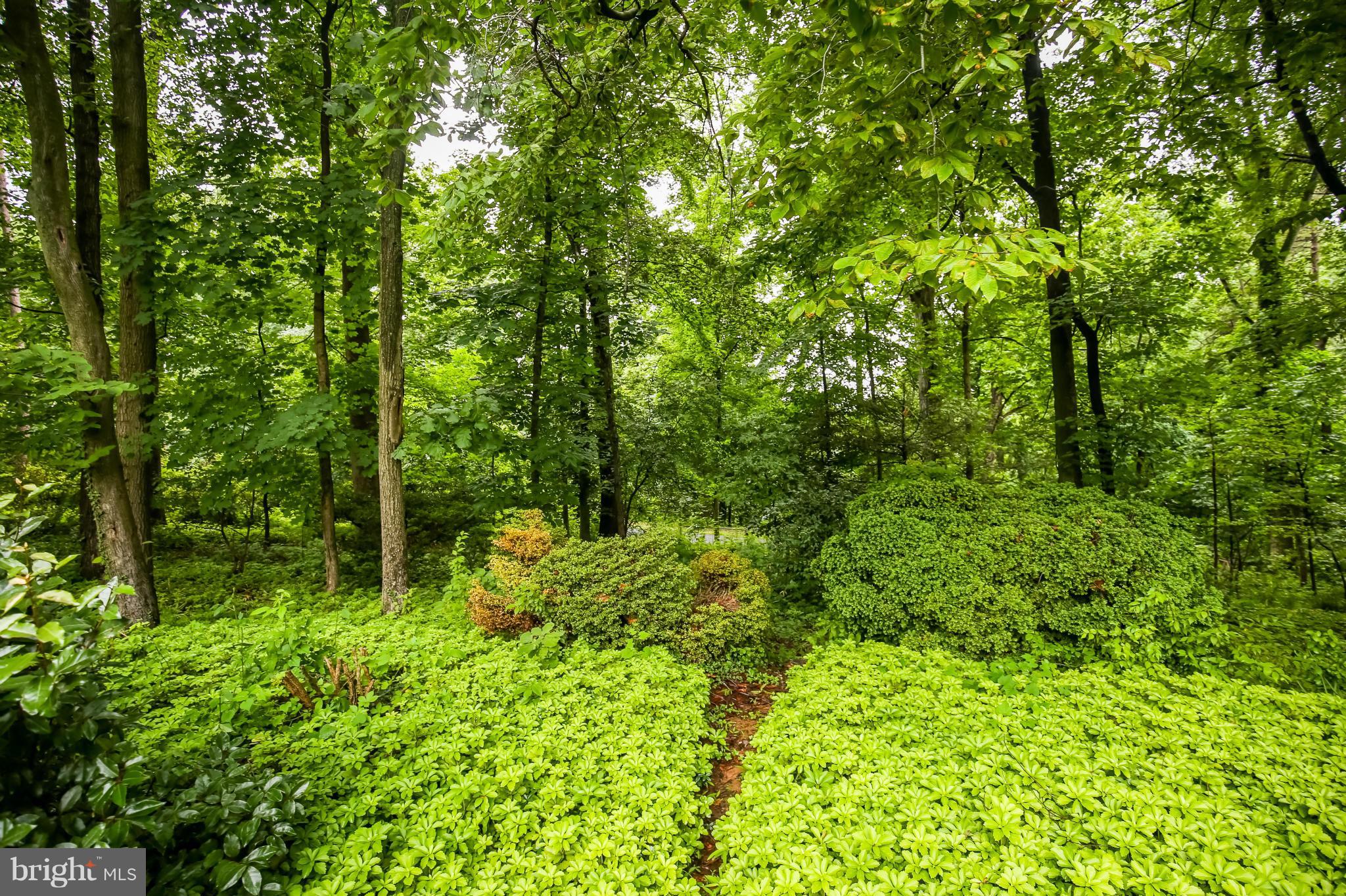 CARDEROCK SPRINGS - Residential