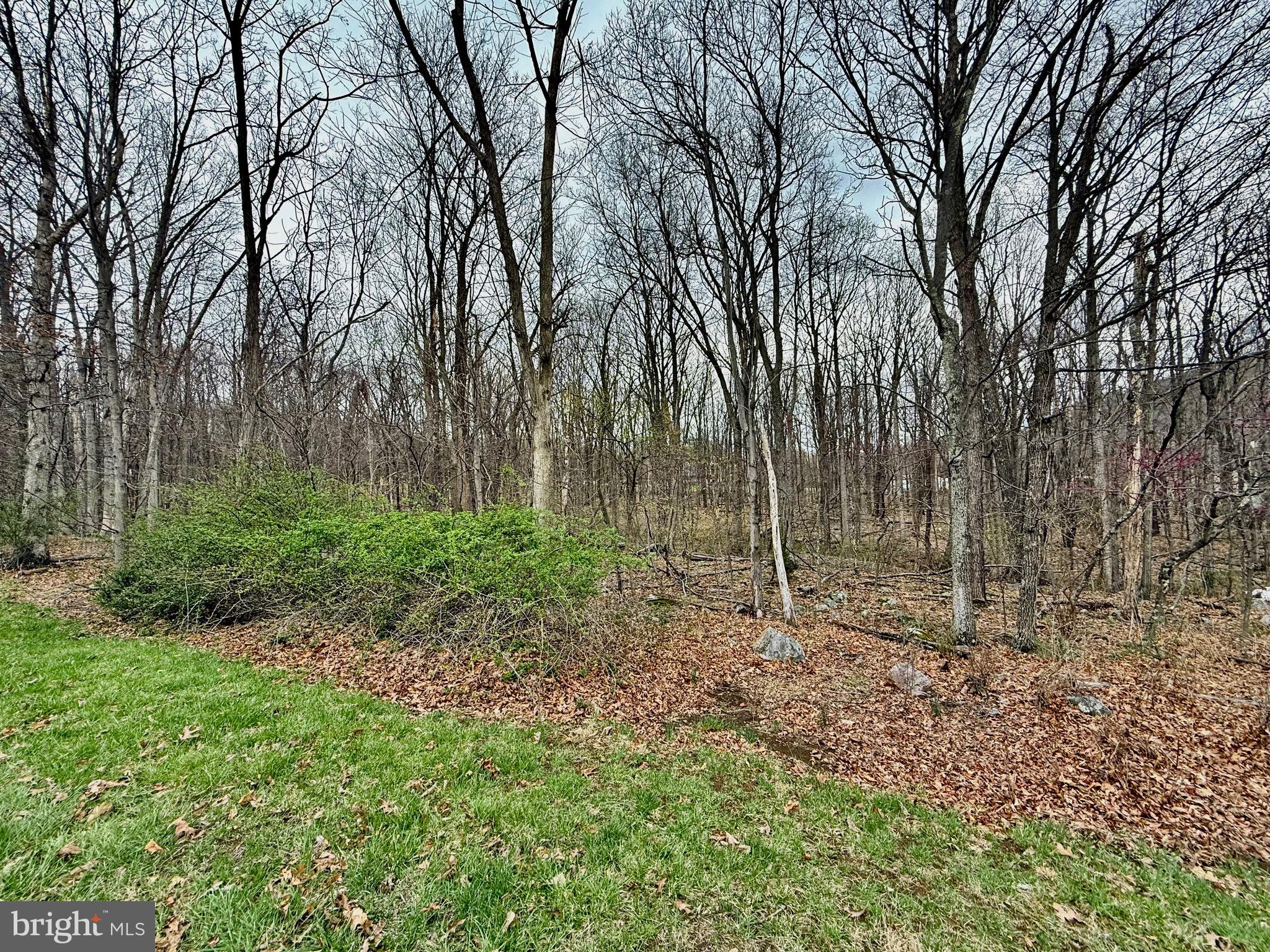 TIMBERLAKE ESTATES - Land