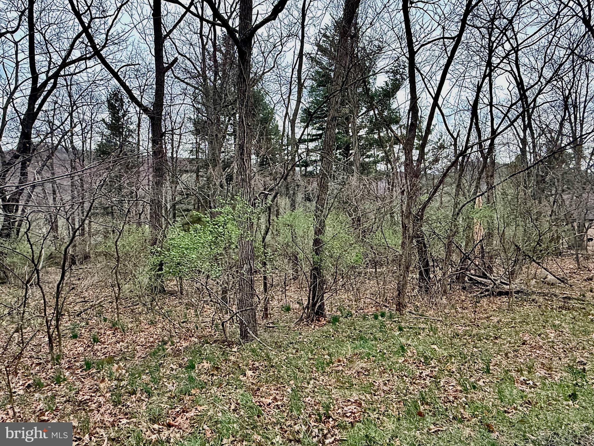 PRIVATE LOCATION. LOOKING FOR THE PERFECT BUILDING SITE? LOOK NO MORE. SENSIBLE COVENANTS. UNDER GROUND UTILITIES AT SITE. PRIME BUILDING LOT IN THE WELL-ESTABLISHED PRESTIGIOUS TIMBERLAKE ESTATES SUBDIVISION. FULLY WOODED LEVEL 2.3 ACRE LOT WITH ACCESS FROM 2 SIDES! YEAR ROUND STREAM. PRIVATE LOCATION.
