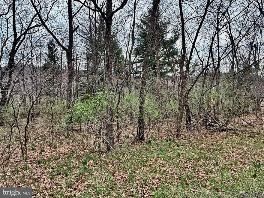 PRIVATE LOCATION. LOOKING FOR THE PERFECT BUILDING SITE?  LOOK NO MORE. SENSIBLE COVENANTS.  UNDER GROUND UTILITIES AT SITE.  PRIME BUILDING LOT IN THE WELL-ESTABLISHED PRESTIGIOUS TIMBERLAKE ESTATES SUBDIVISION.  FULLY WOODED LEVEL 2.3 ACRE LOT WITH ACCESS FROM 2 SIDES!  YEAR ROUND STREAM. PRIVATE LOCATION.