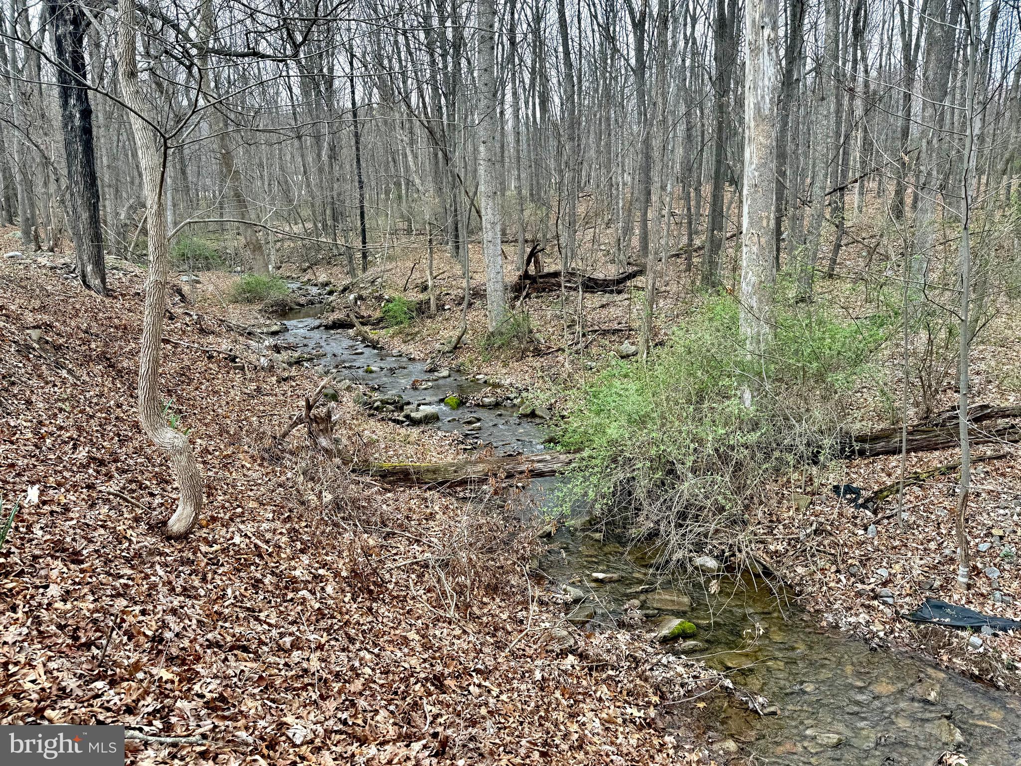 TIMBERLAKE ESTATES - Land