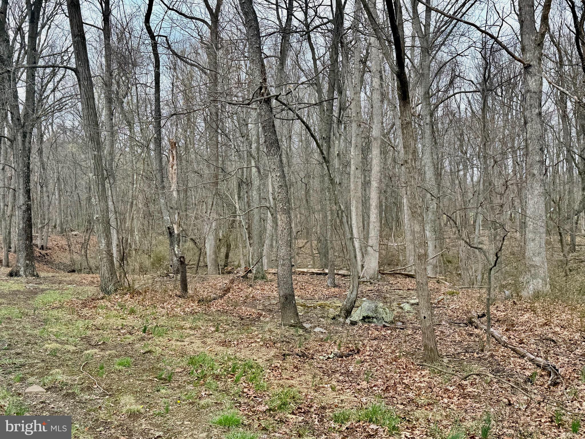 TIMBERLAKE ESTATES - LOT 48