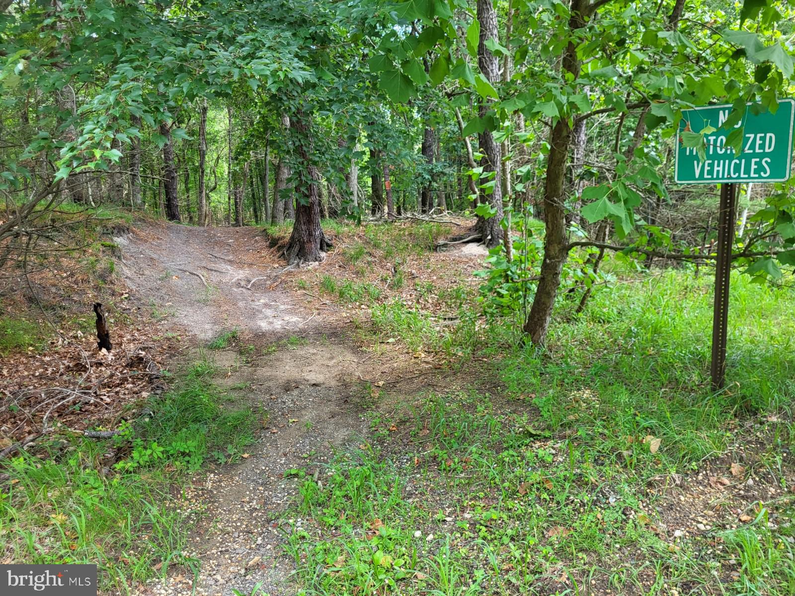 559 TOMLINSON MILL ROAD