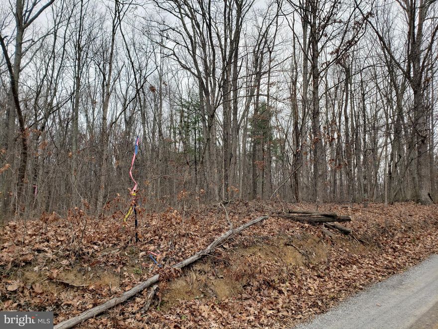 Looking for a wooded building lot but don't want to build on the side of a mountain? Then look no further! This 5.48 acre lot has plenty of level areas to build your dream home. Property boundaries have been recently marked and perced. Located 35 minutes from Winchester, VA and less than 2 hours from Washington, DC.
