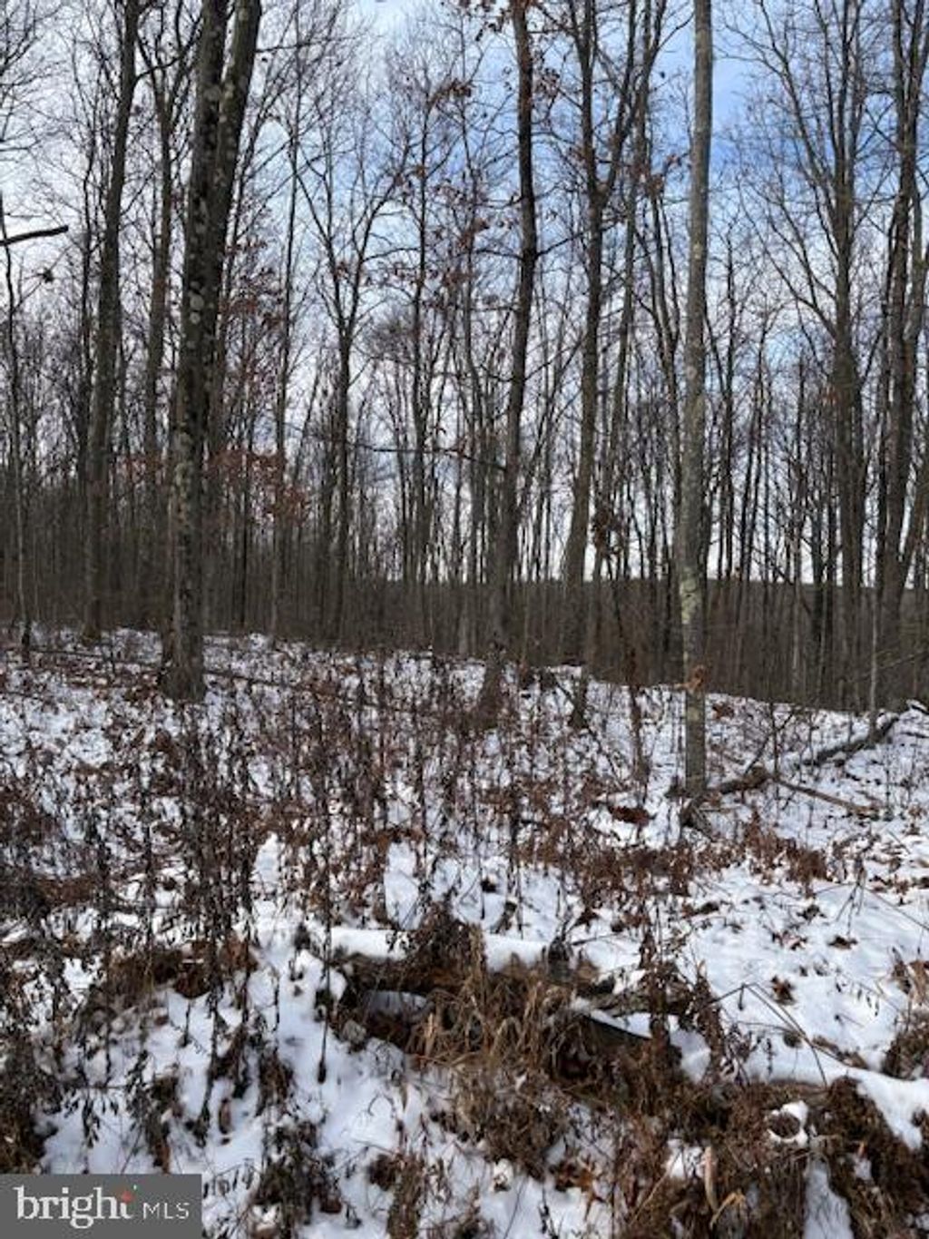 Photo of 0 Little Wolf Road, CLARENCE, PA 16829 (MLS # PACE2517582)