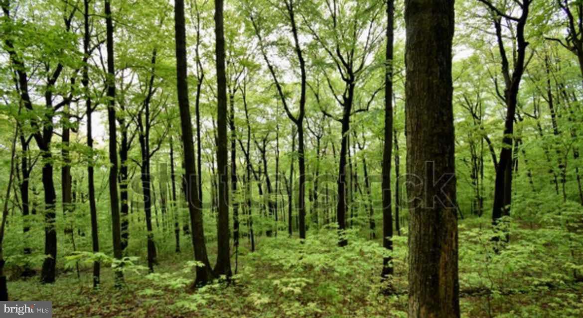 Embrace 5 acres of beautiful WV nature on a quiet cul de sac shared with only 1 other lot. Flat terrain, street accessible property with no culverts, well shaped lot lines and multiple building site options. Mature trees off360 degrees of privacy and low under brush allow property to be easily navigated, The lot is only a short drive from downtown Berkeley Springs and is easily accessible with RV or trailer boasting nothing but paved, level two lane roads to reach the property. A wide pull-off area has already been established on property edge. Equipped with stone fire pit and electric pole for easy access to power. Seated on this choice lot in a gated community just minutes to shopping, spas, restaurants and river access to the Potomac and Cacapon rivers. This lot offers usable land and trailer, camper parking for immediate relaxation in Almost Heaven, WV. Just a short 2 hour drive from DC or Baltimore and 3 hours from Pittsburgh.